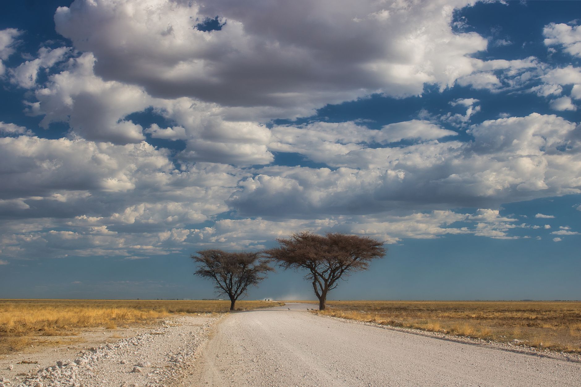 ناميبيا — Sossusvlei → Victoria Falls