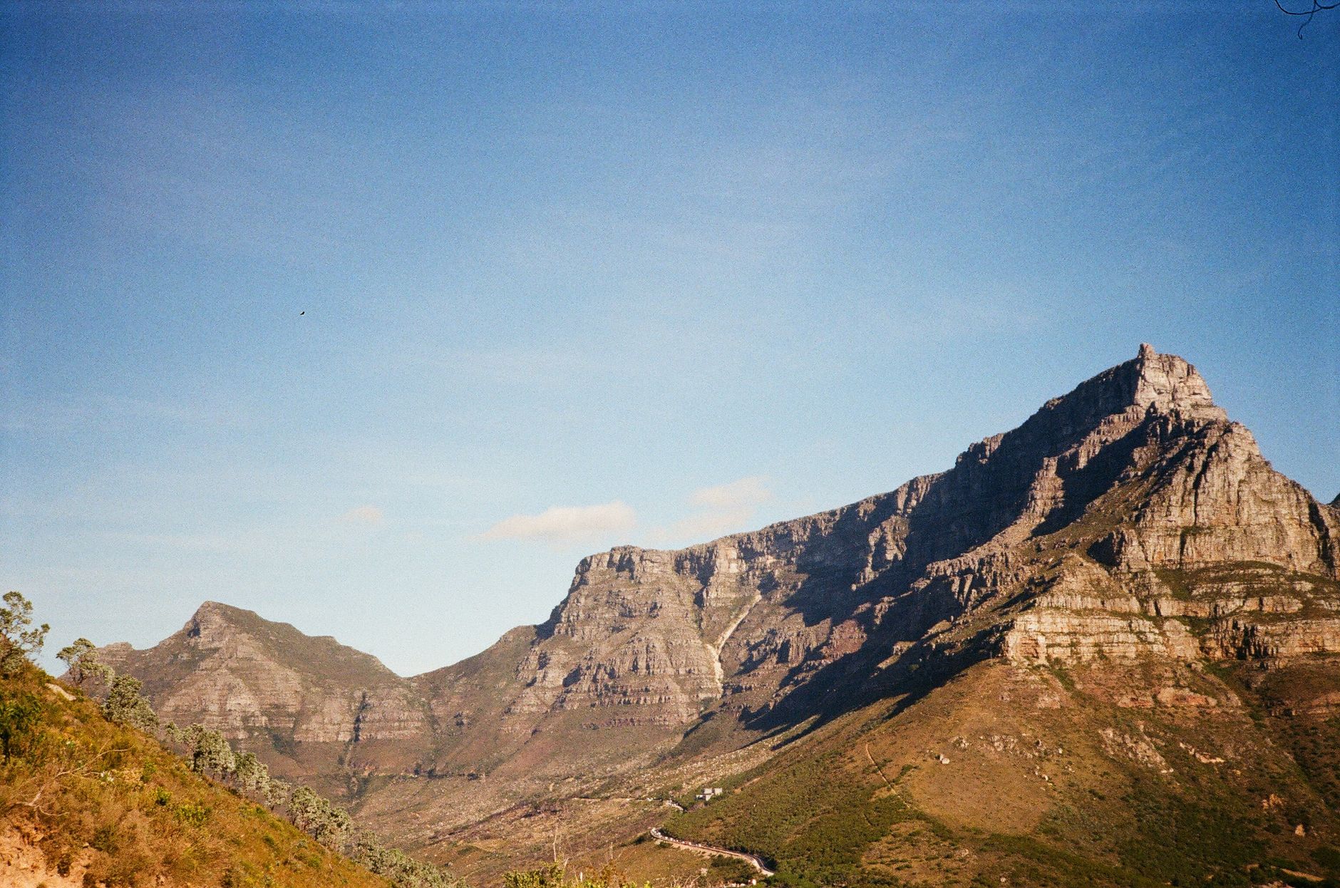 SYDAFRIKA — CAPE, ZAMBIA OG BOTSWANA — oplevelse