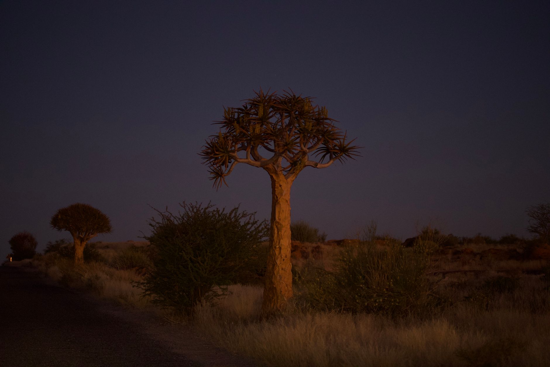 GÜNEY AFRİKA - KAROO ÇÖLÜ - BondTours deneyimi