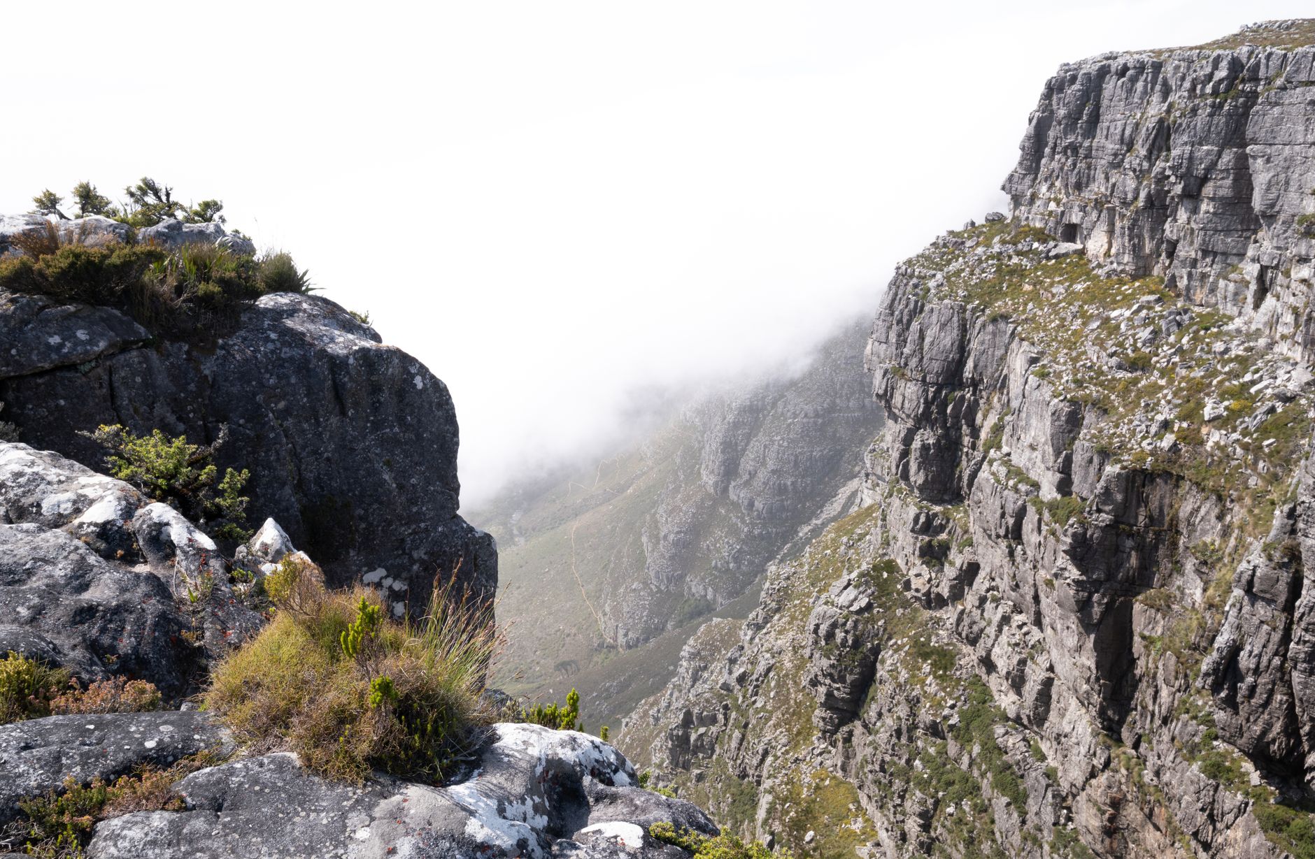 جنوب أفريقيا — Cidade do Cabo → Namaqualand