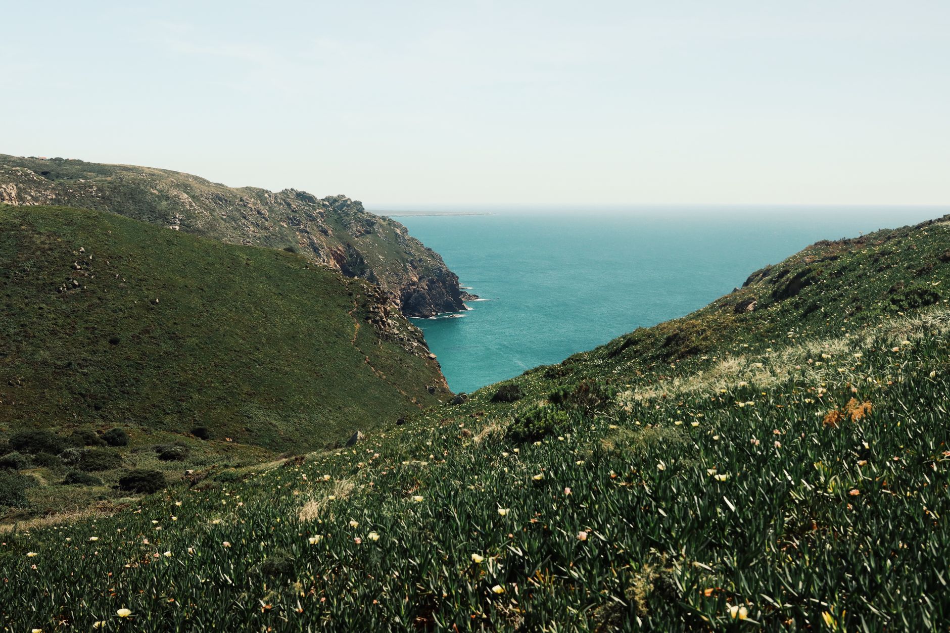 SYDAFRIKA - CAPE FLOWER ROUTE - BondTours-oplevelse