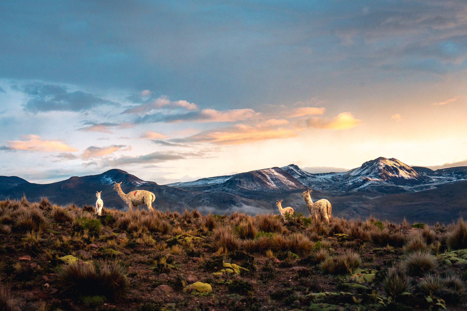 بيرو — Cusco → Atacama