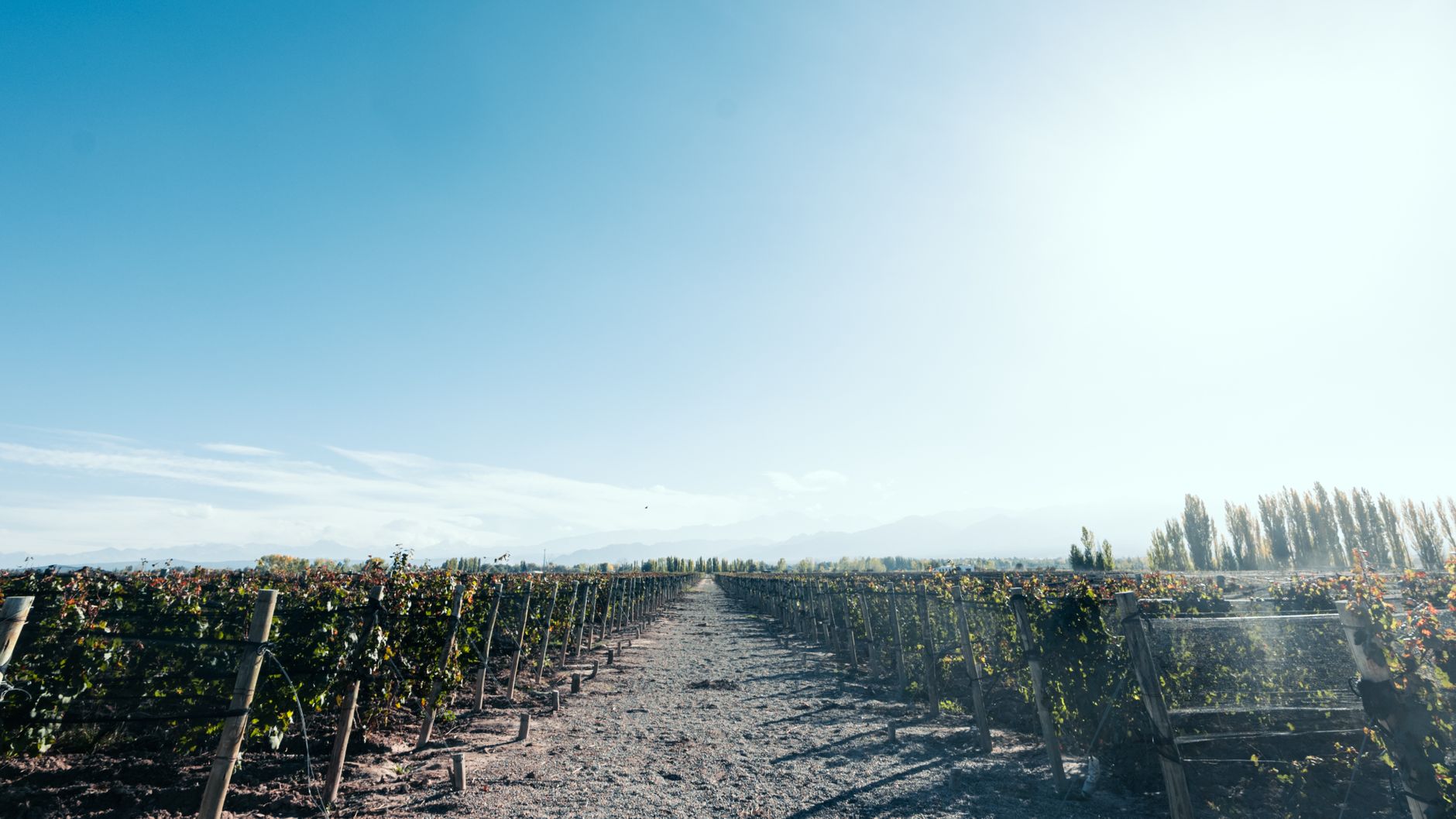 الأرجنتين — Mendoza → Vale do Uco na Cordilheira dos Andes