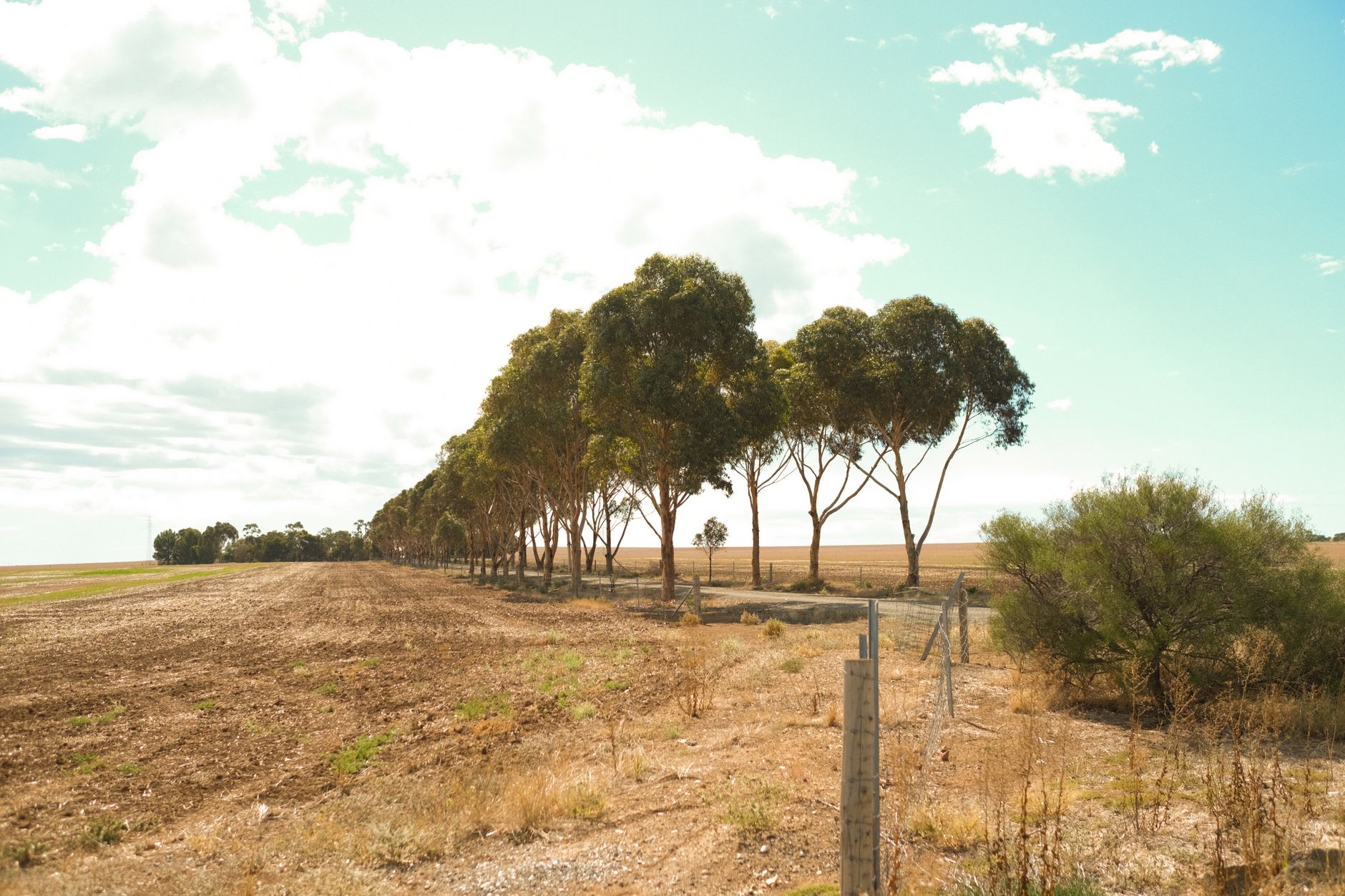 أستراليا — Adelaide → Eden Valley