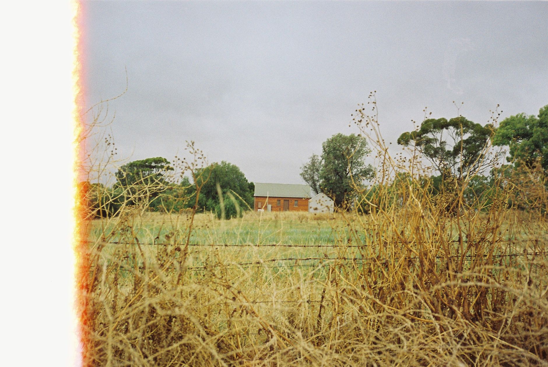 AUSTRALIEN — BAROSSA VALLEY & SHIRAZ — oplevelse