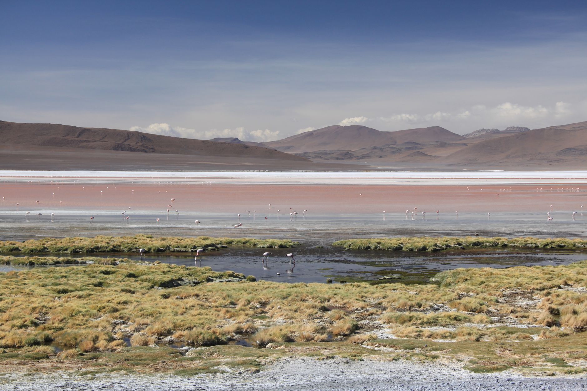 بوليفيا — Uyuni → Laguna Verde