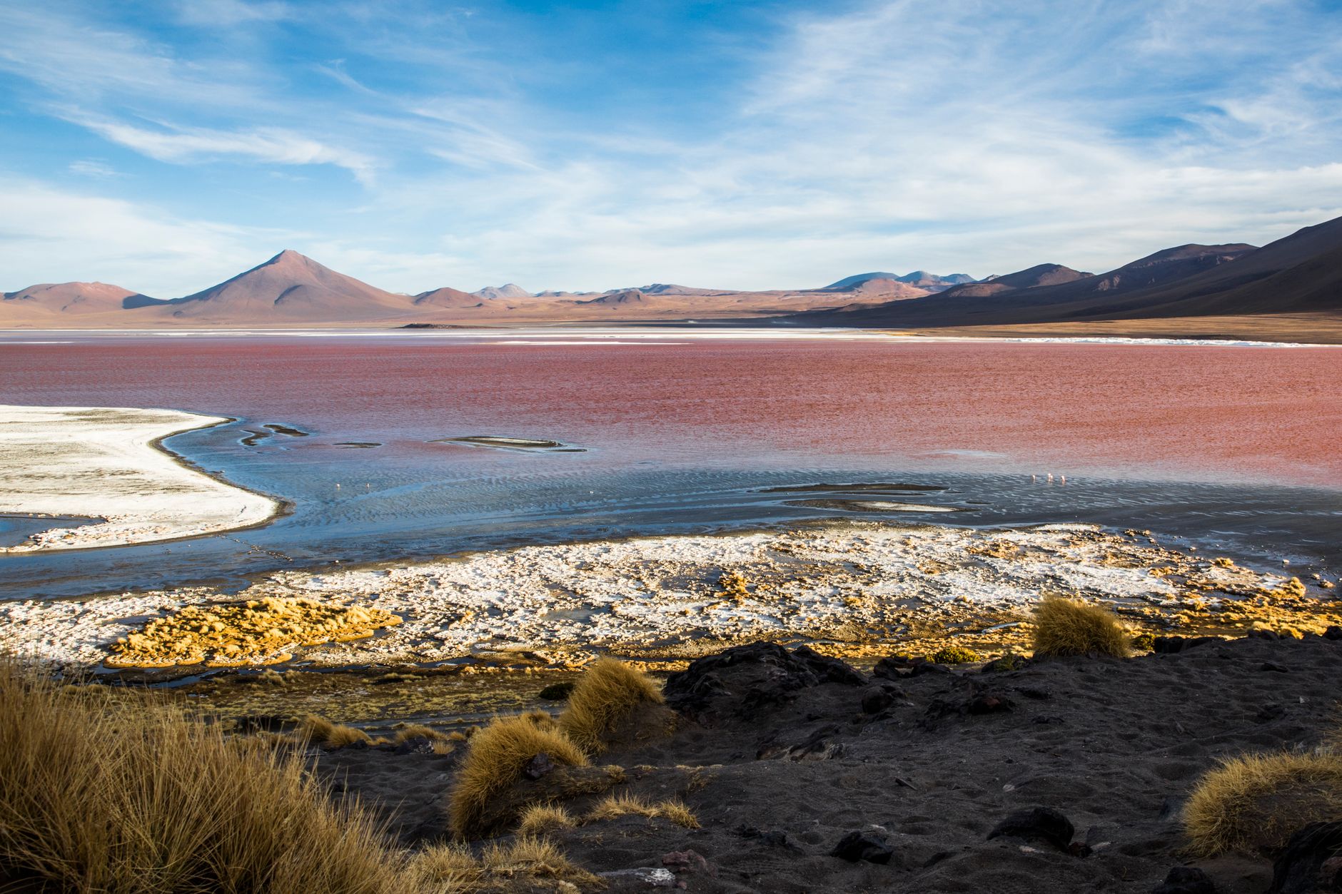 BOLIVIA — ALTIPLANO LAGOONS & UYUNI — oplevelse