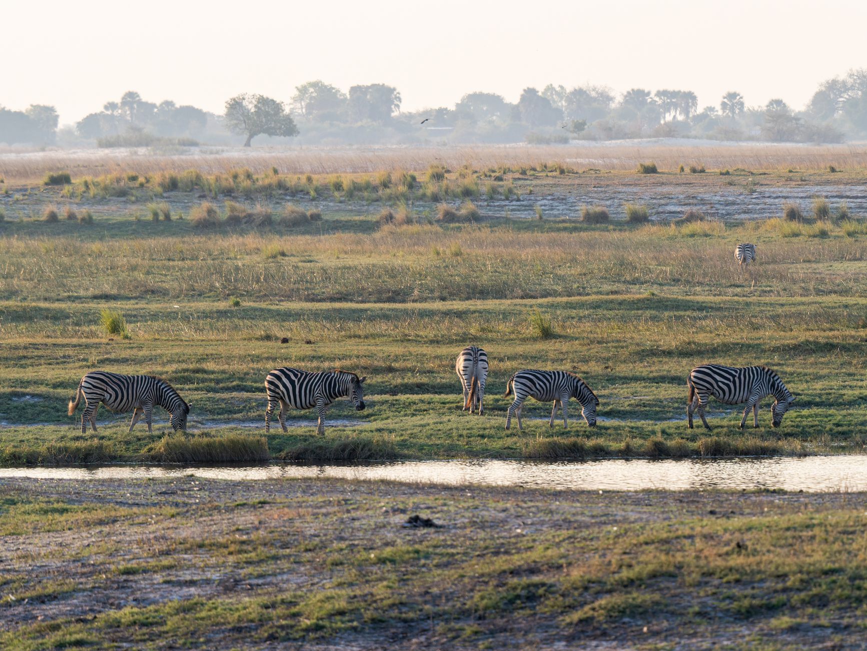 بوتسوانا — Kgalagadi Transfrontier Park → Chobe