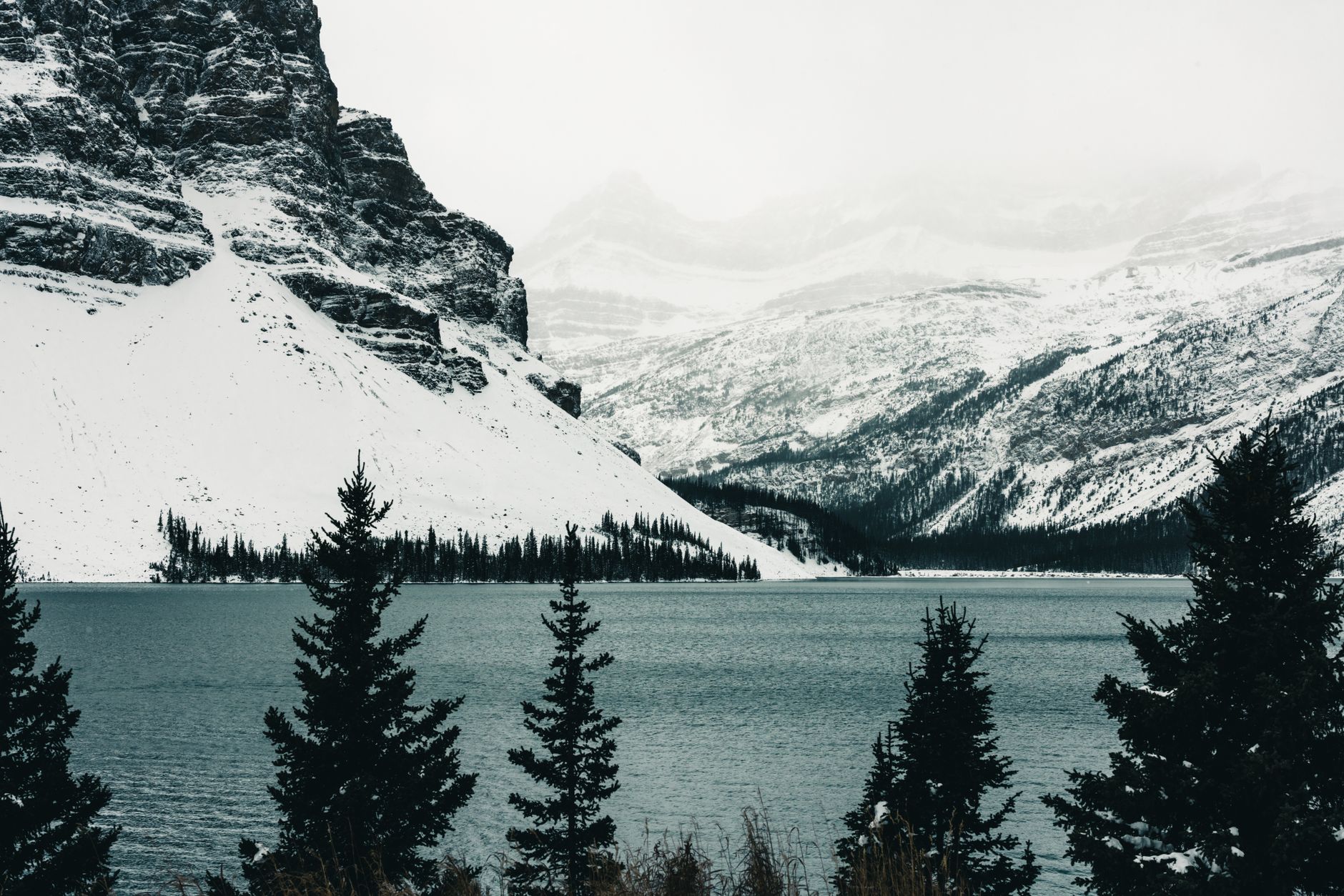 CANADA — ROCKIES OM VINTEREN — oplevelse