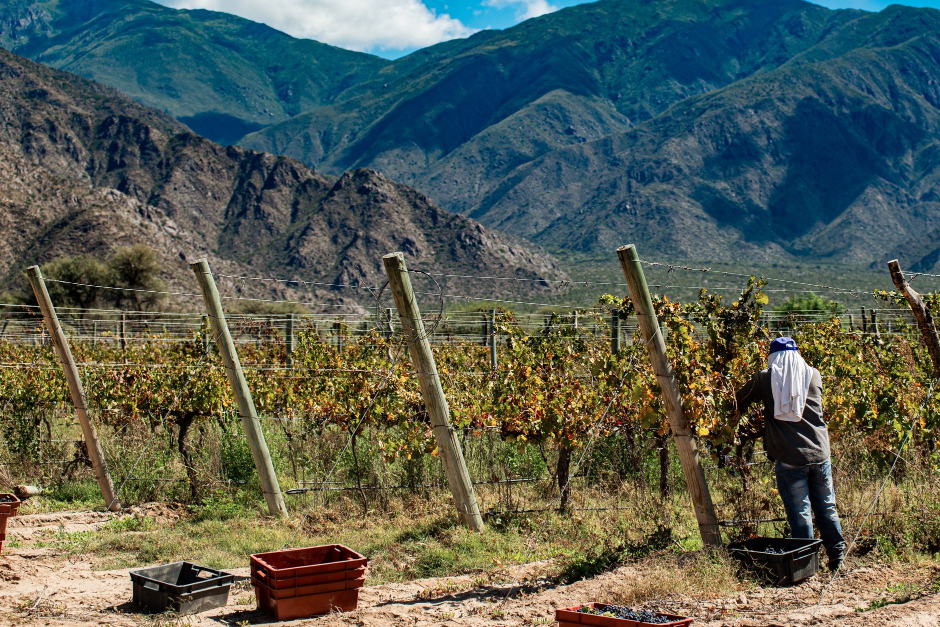 تشيلي · الأرجنتين — Santiago → Valle de Uco