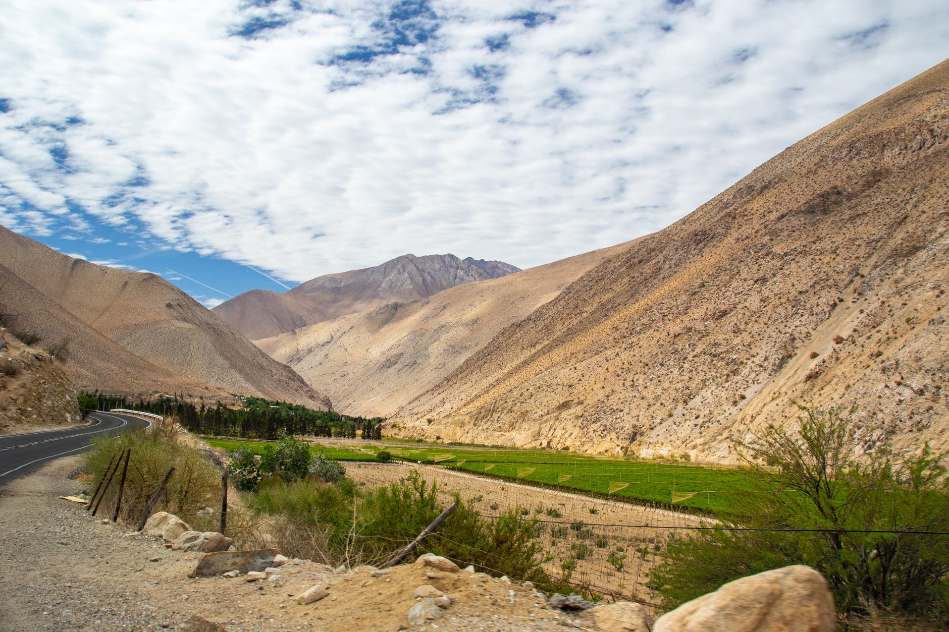 CHILE — MAIPO & CABERNET SAUVIGNON — oplevelse