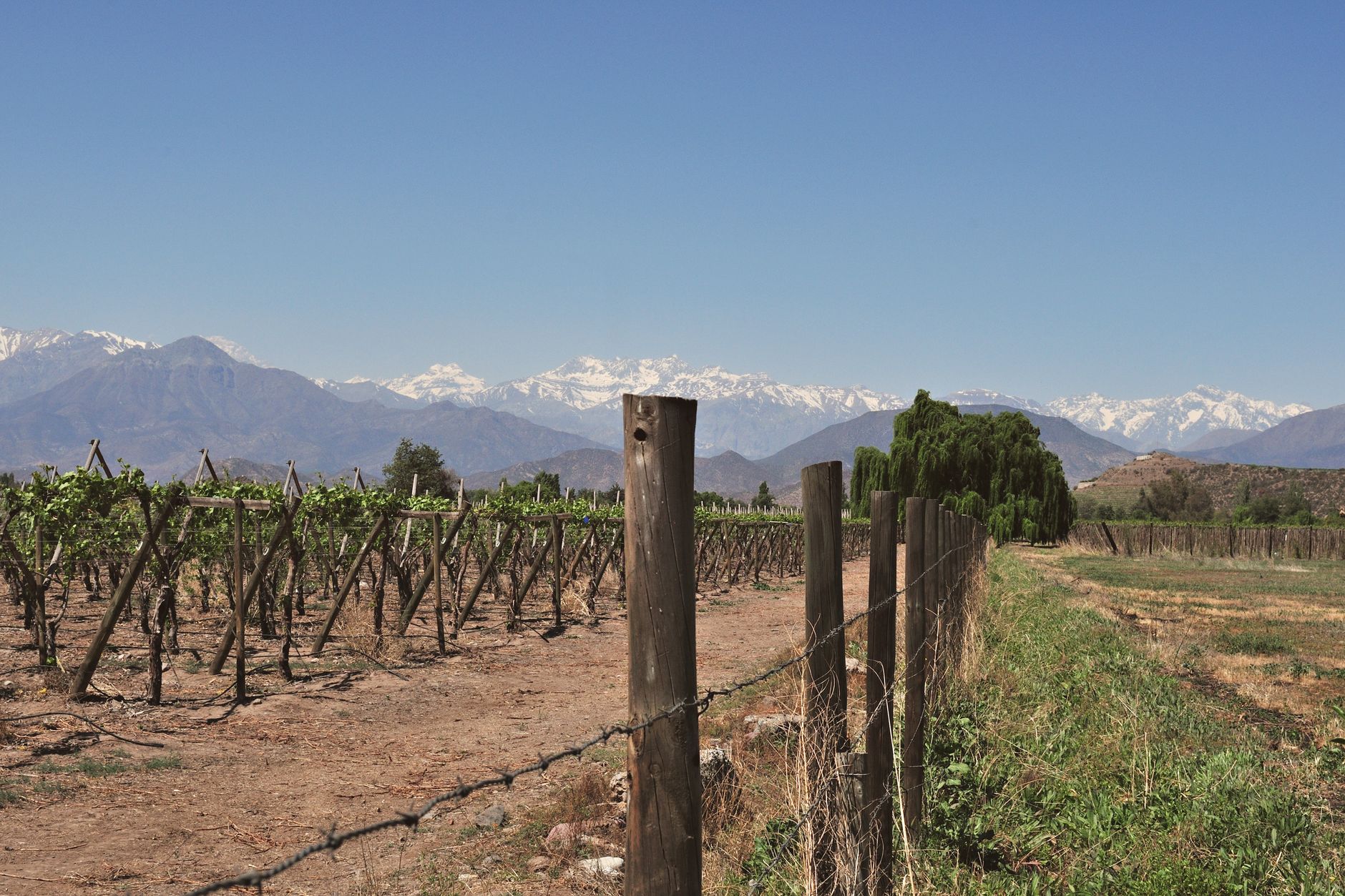 تشيلي — Santiago → Vulcão Osorno