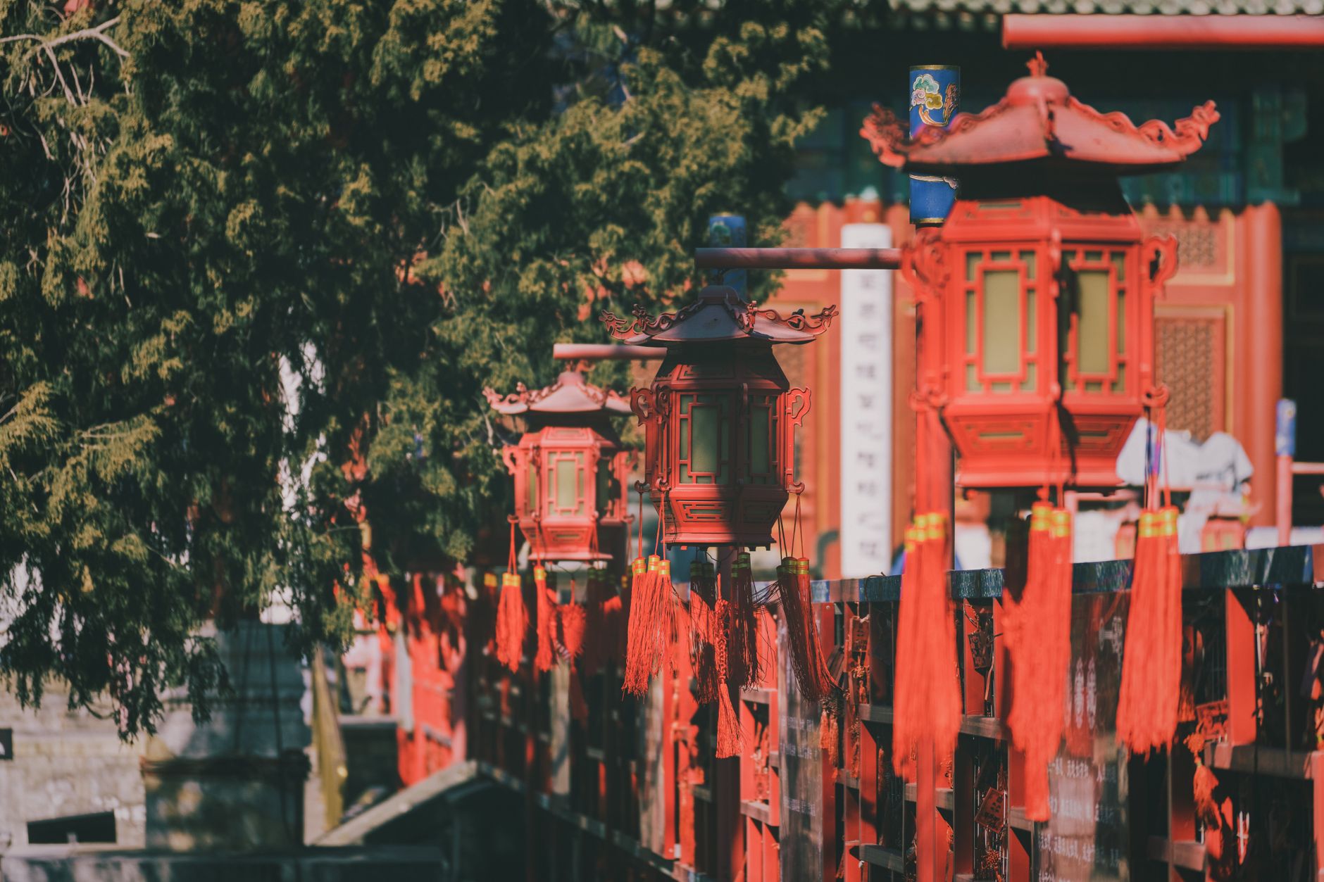 الصين — Xangai / Xi'an / Pequim conforme edição e programação local
