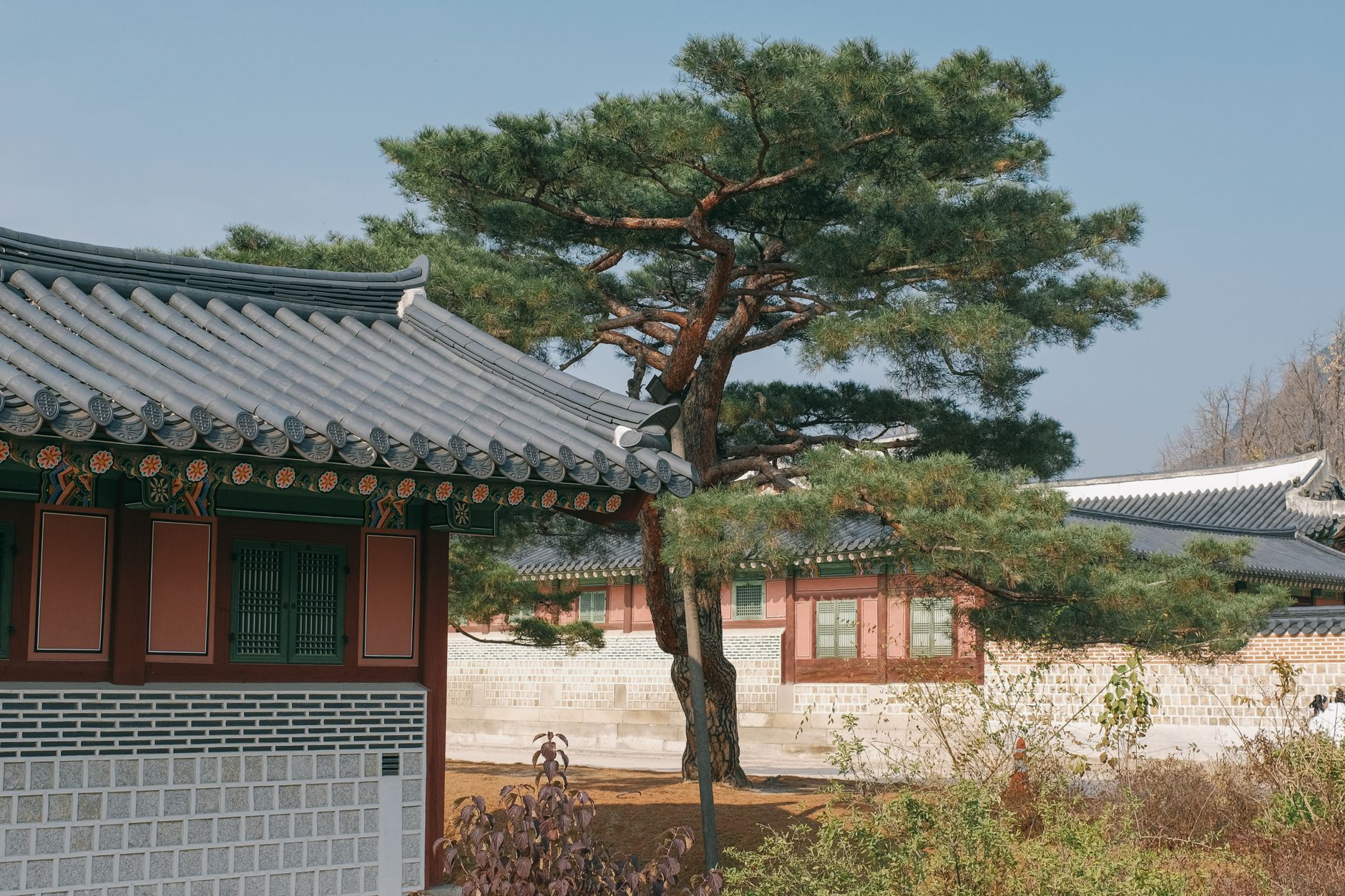 كوريا الجنوبية — Seul → Busan