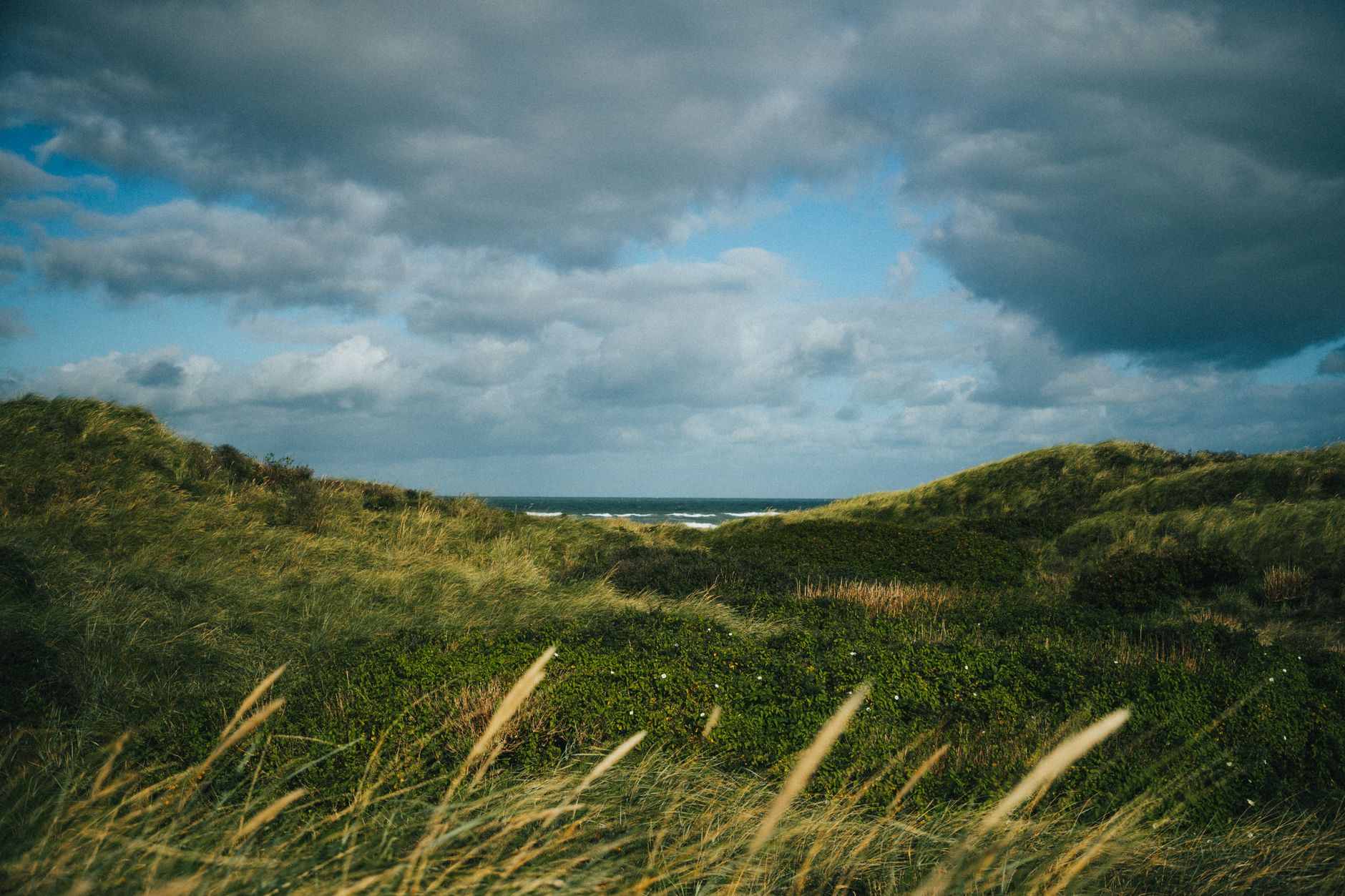 DANMARK — IMMERSION — oplevelse