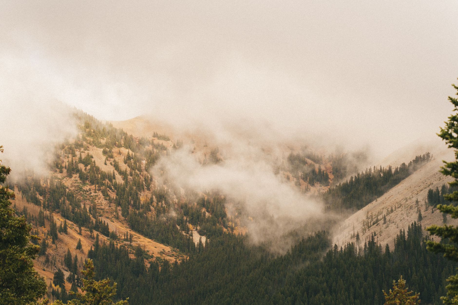 الولايات المتحدة — Denver → Yellowstone no Inverno