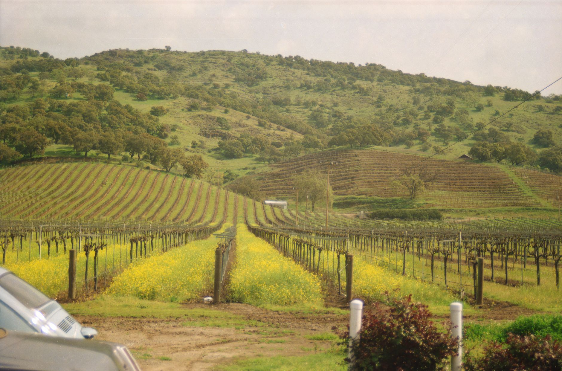 الولايات المتحدة — San Francisco → Sonoma