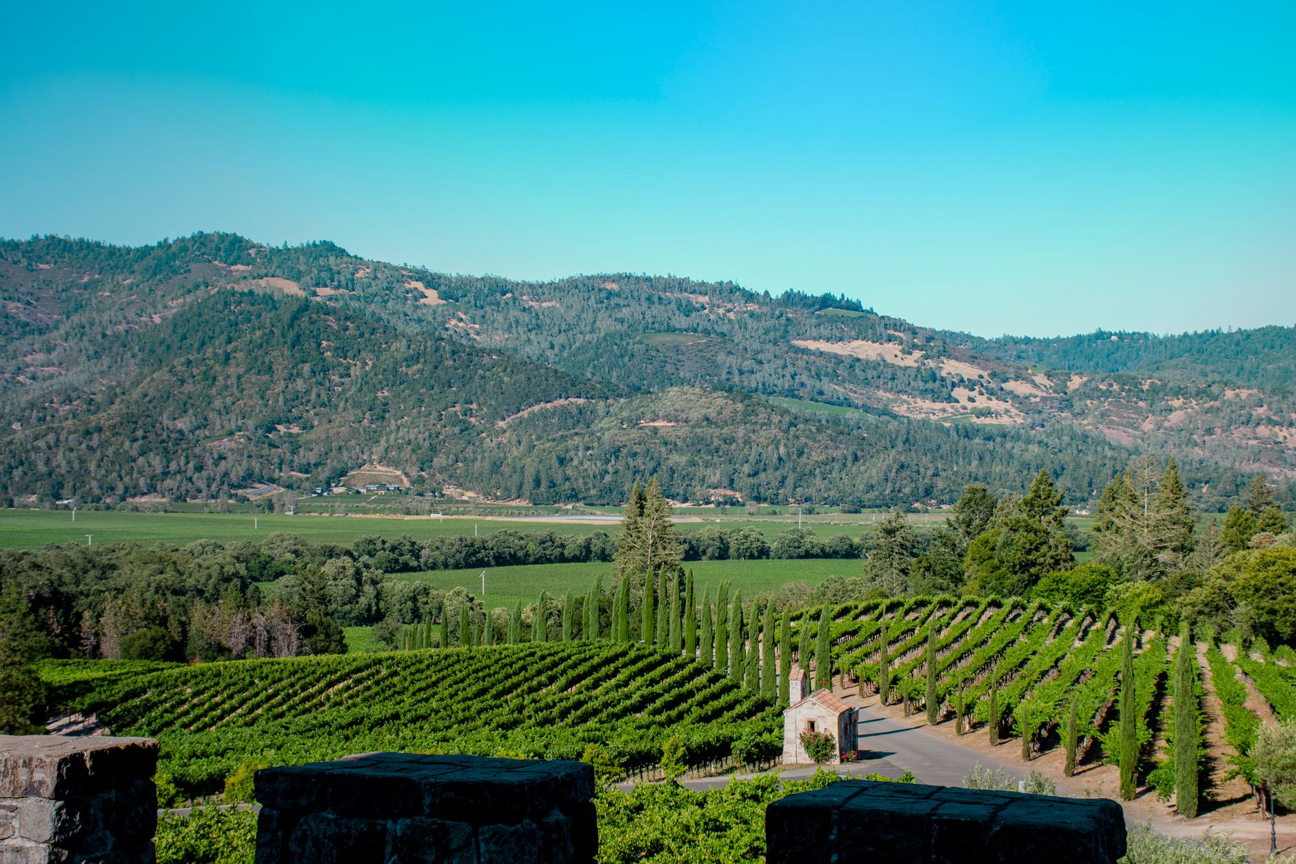 الولايات المتحدة — San Francisco → Calistoga