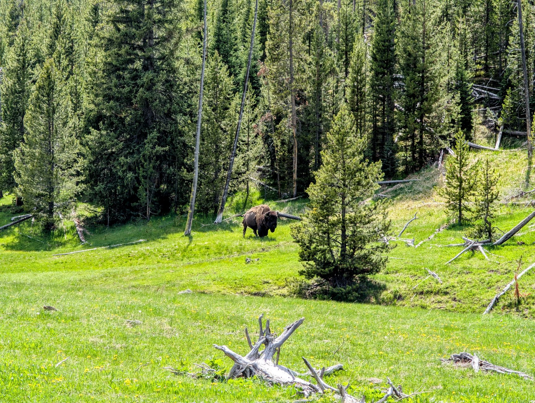 الولايات المتحدة — Bozeman / Jackson → Grand Teton