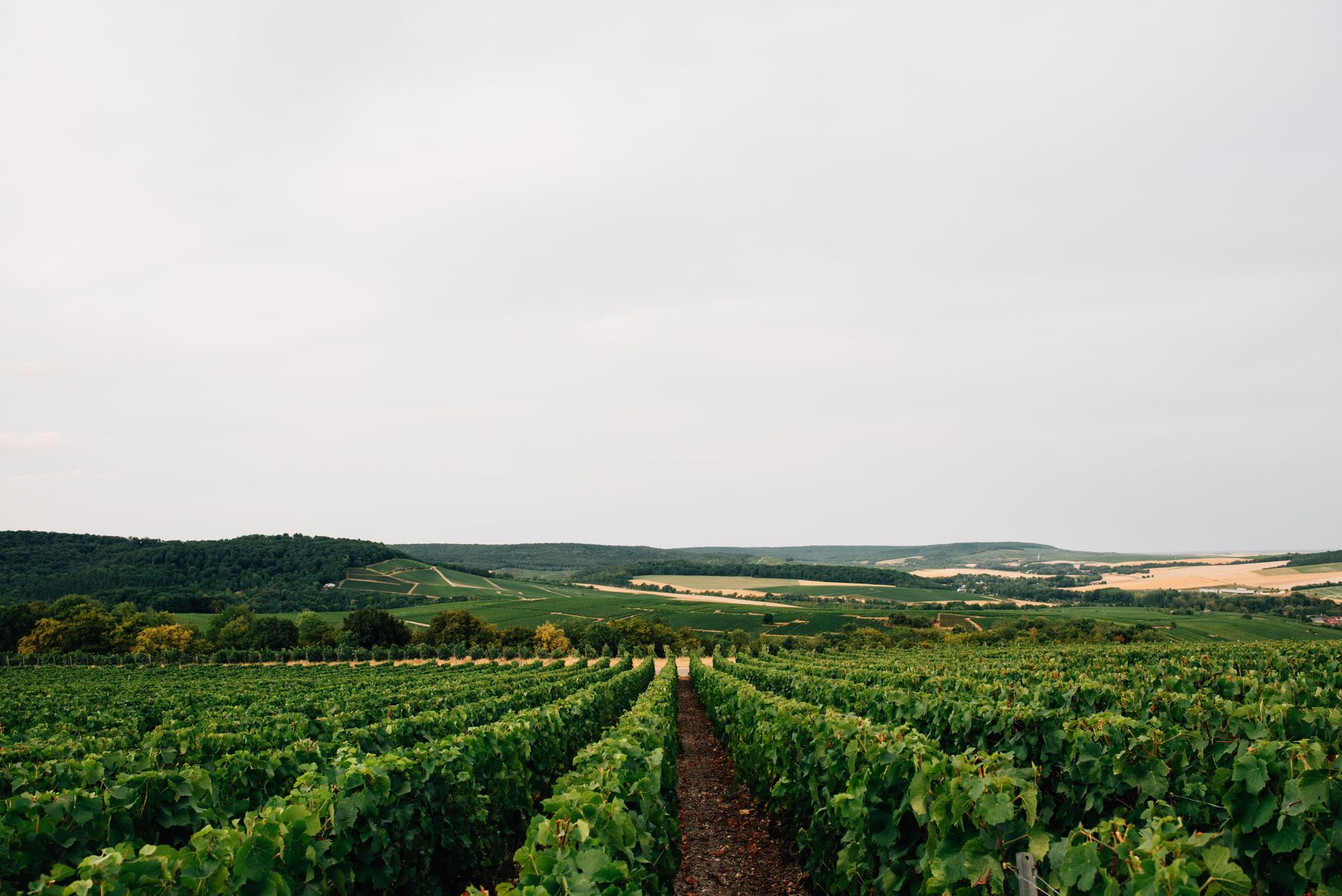 فرنسا — Paris → Reims / Épernay