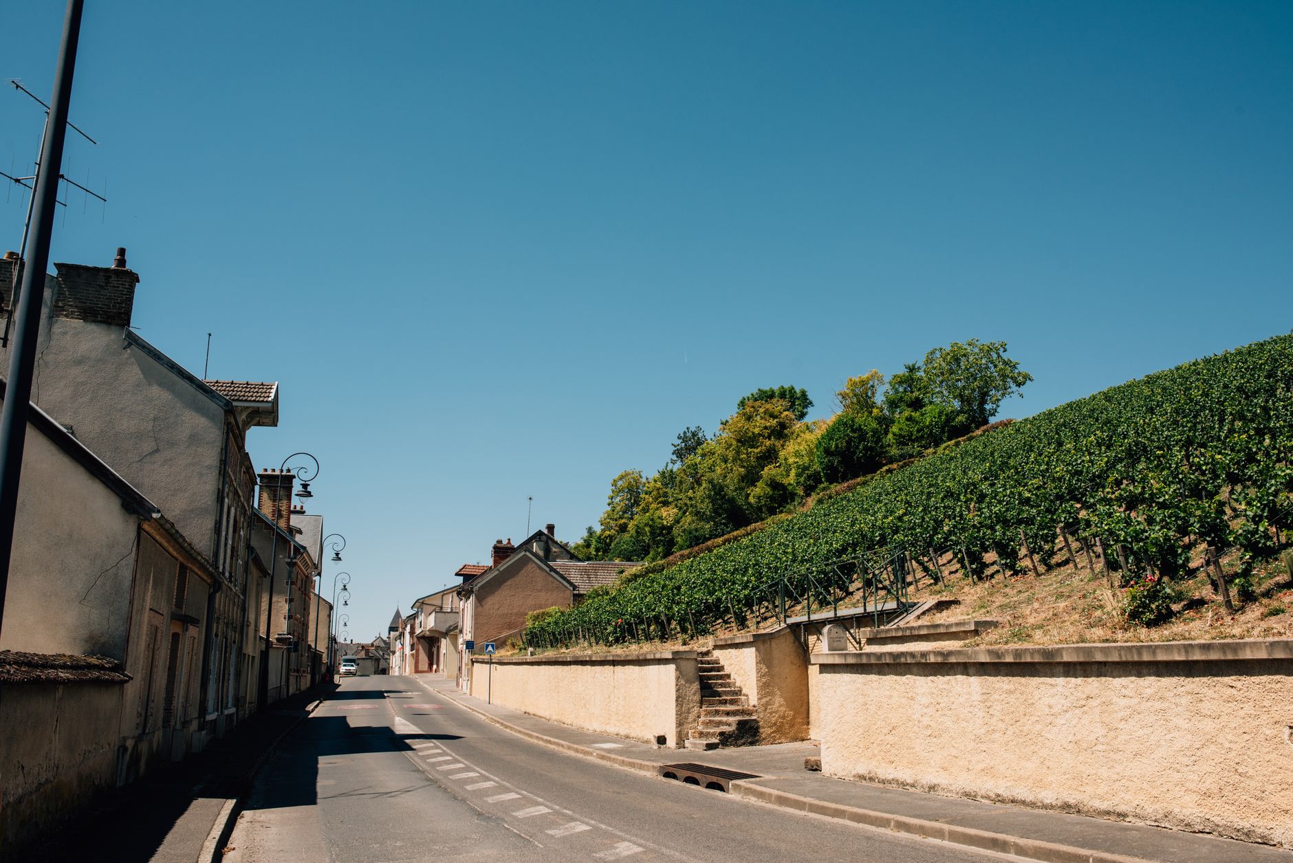 فرنسا — Paris → Côte des Blancs