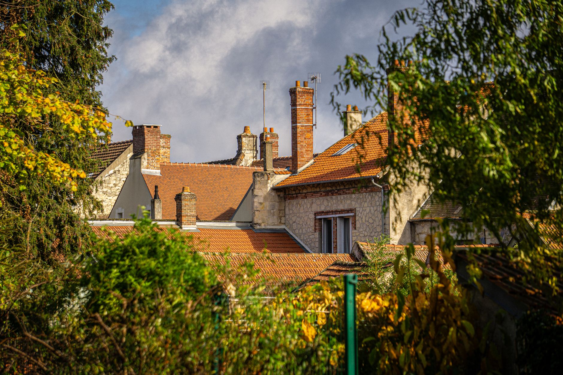 FRANKRIG — COGNAC & COGNAC HOUSES — erfaring