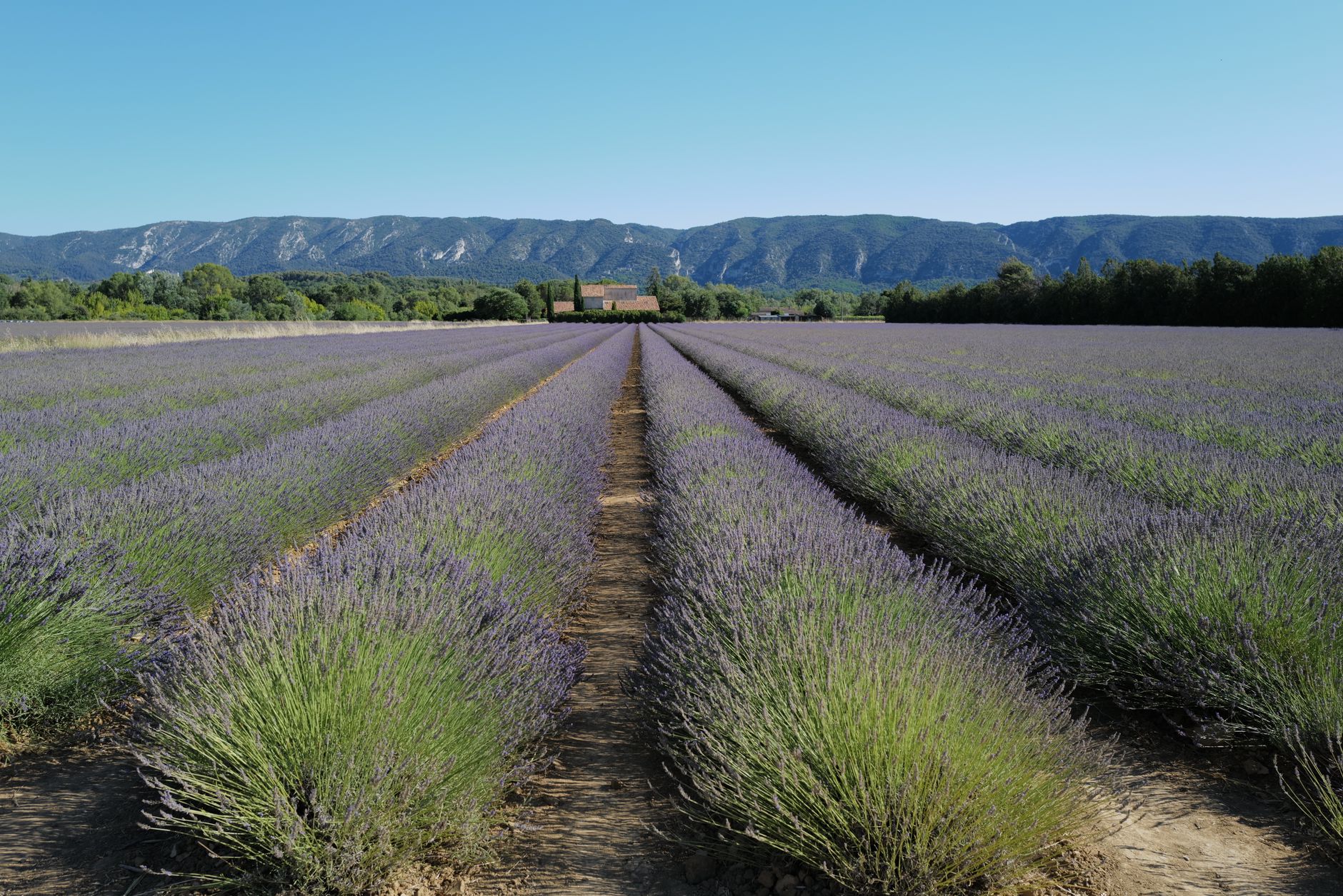 فرنسا — Avignon → Aix-en-Provence