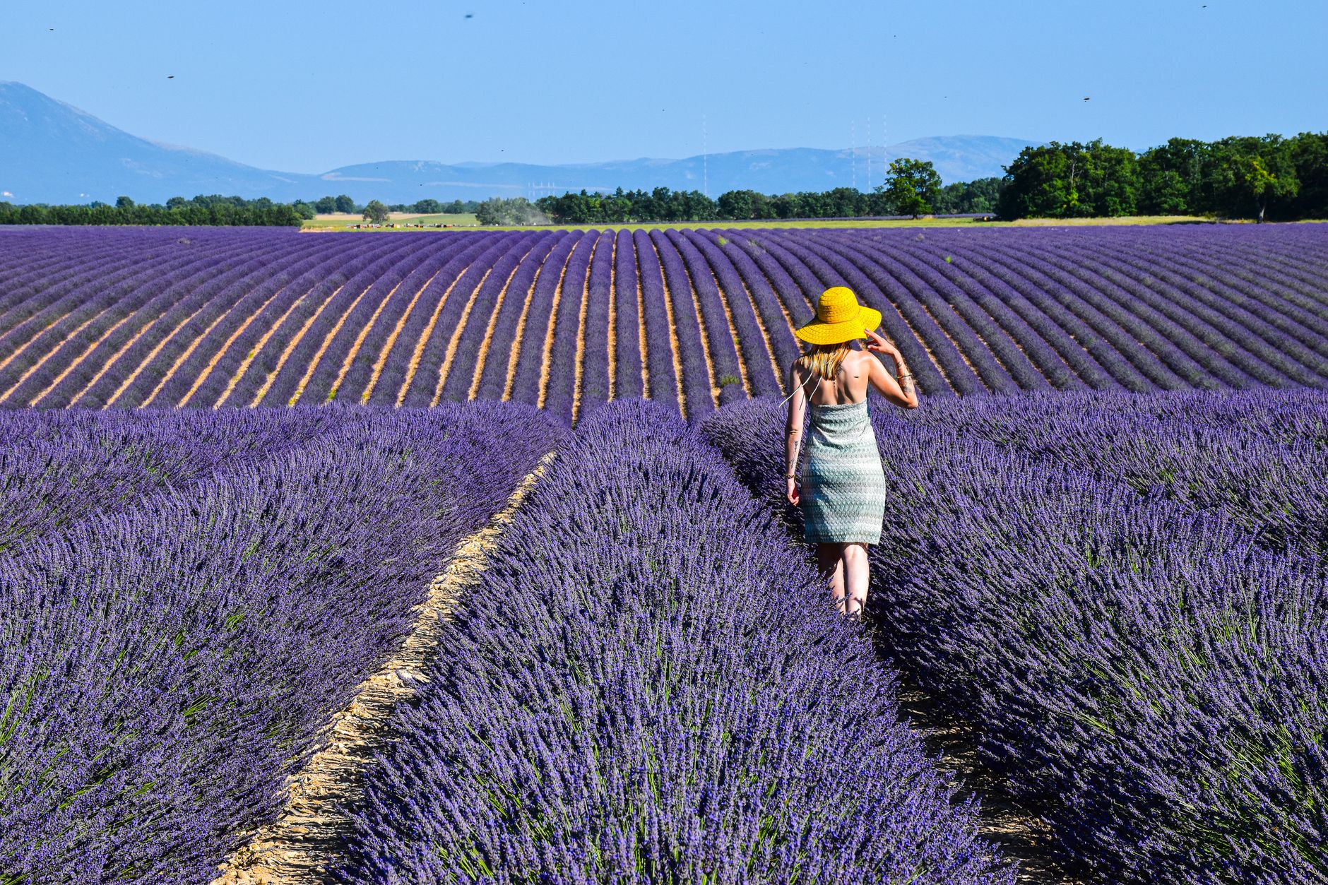 FRANSA — PROVENCE & LAVENDERS — BondTours deneyimi