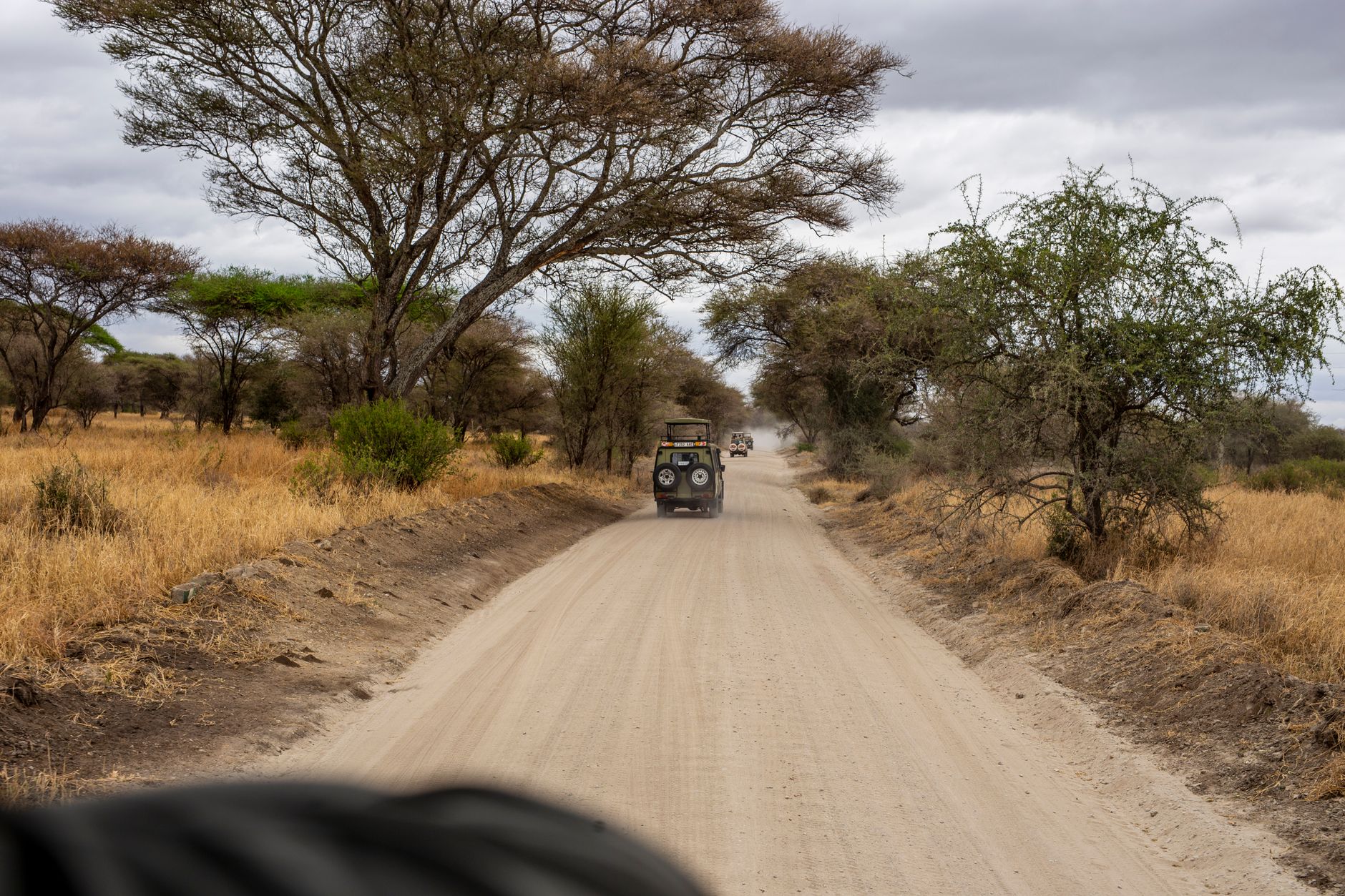 كينيا · تنزانيا · بوتسوانا — Nairóbi → Delta do Okavango