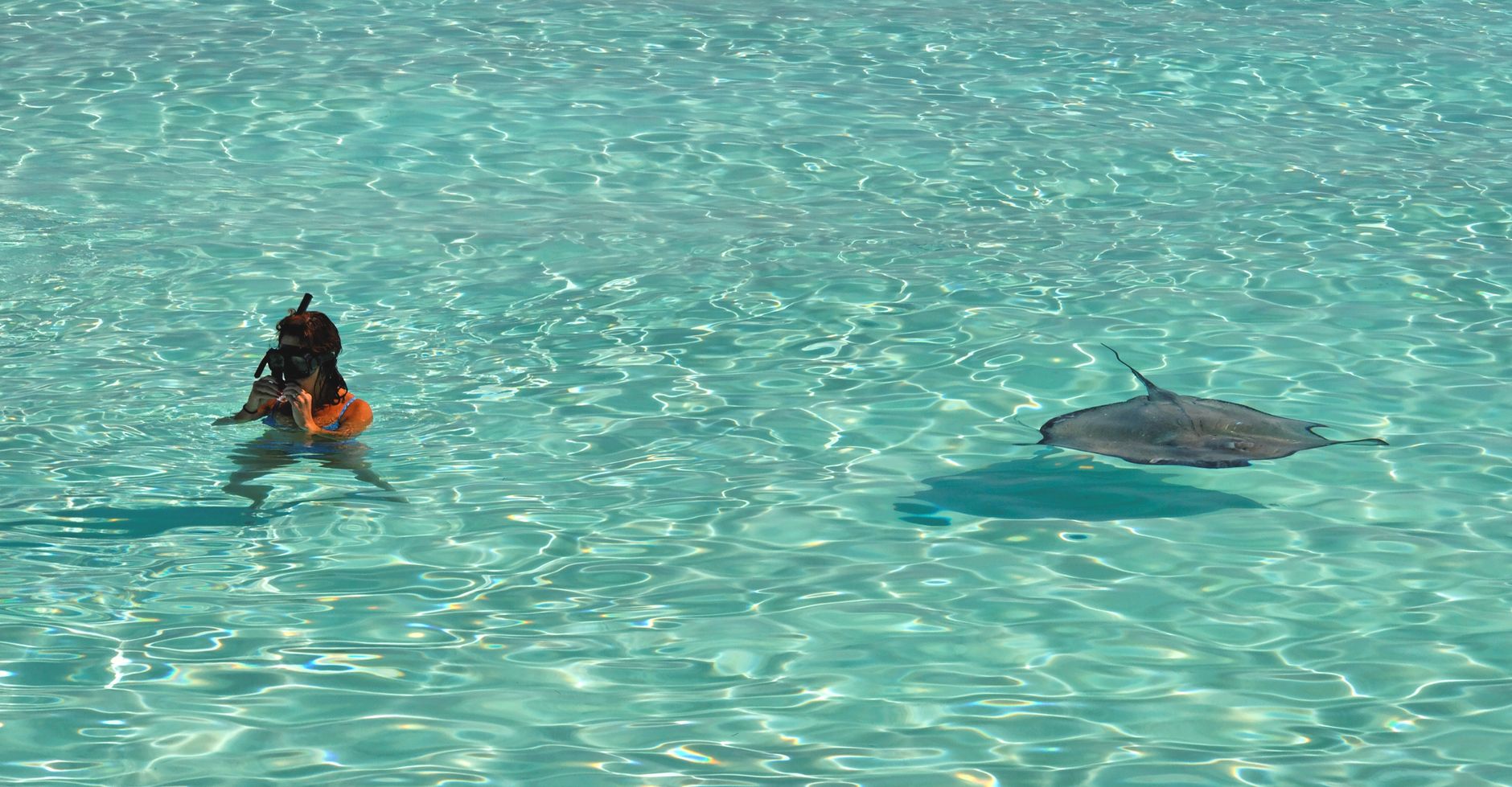 جزر كايمان — Grand Cayman → mergulho