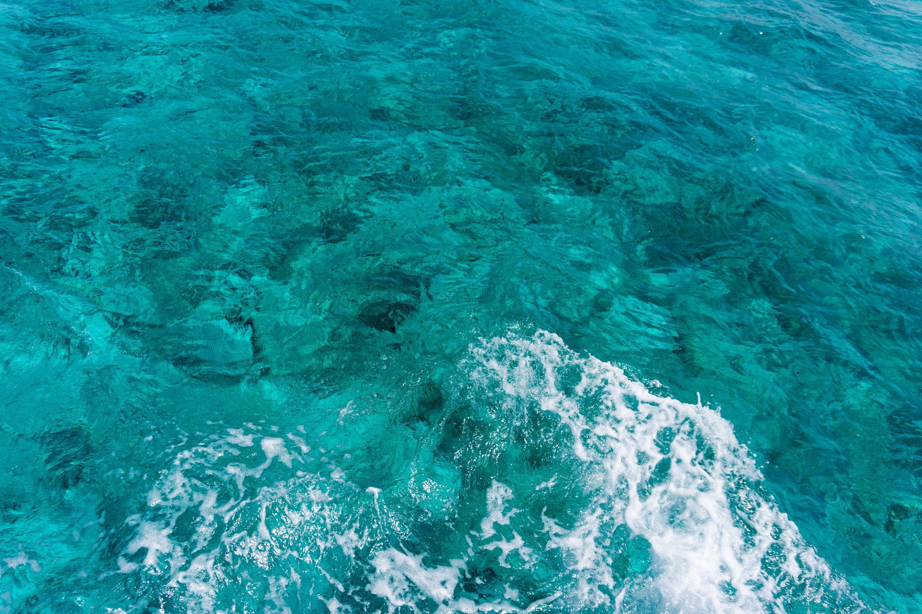 CAYMAN-INSELN — TAUCHEN UND KARIBISCHES MEER — Erlebnis