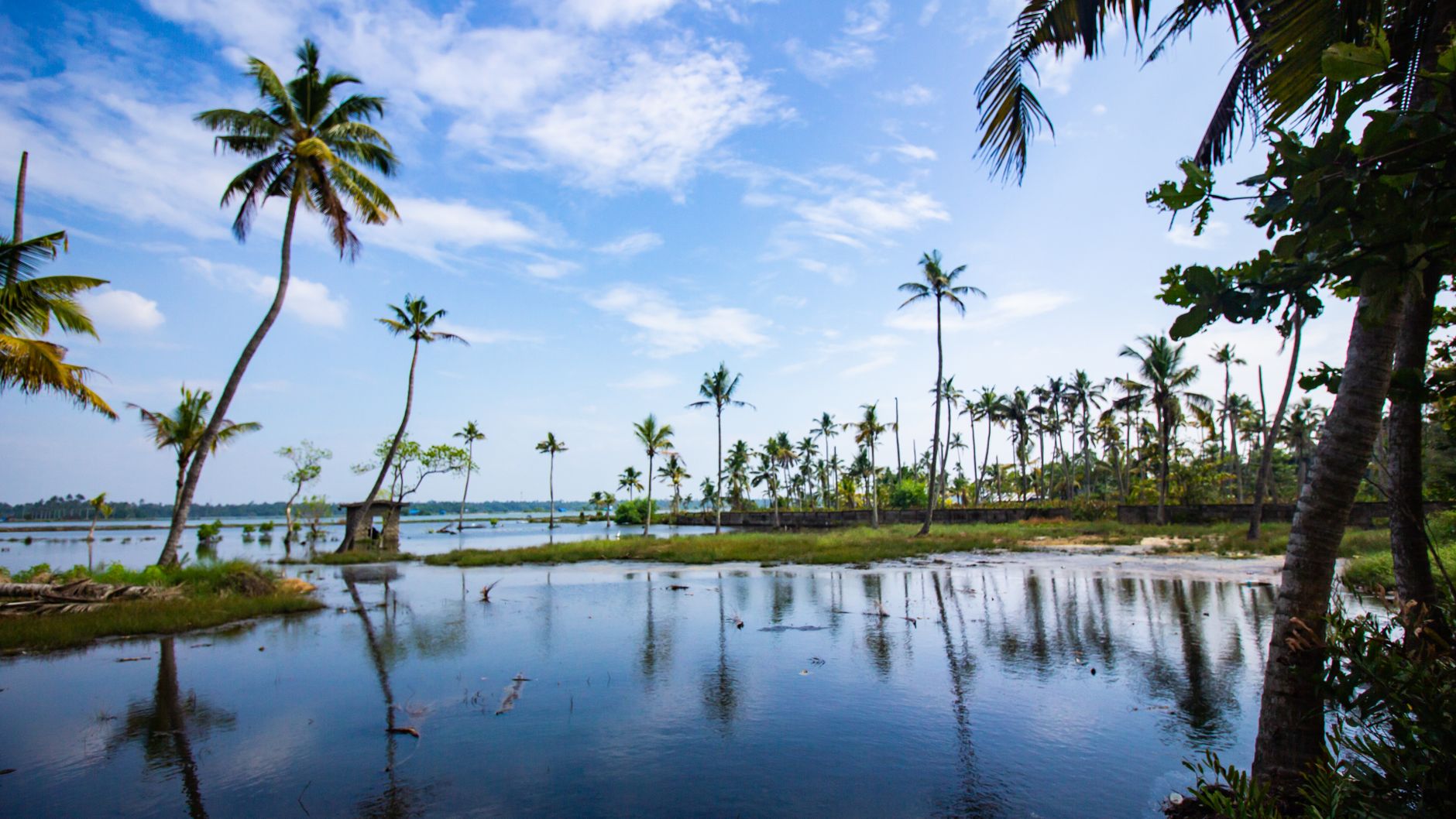 الهند — Kochi → retiro ayurvédico em Marari ou Kovalam