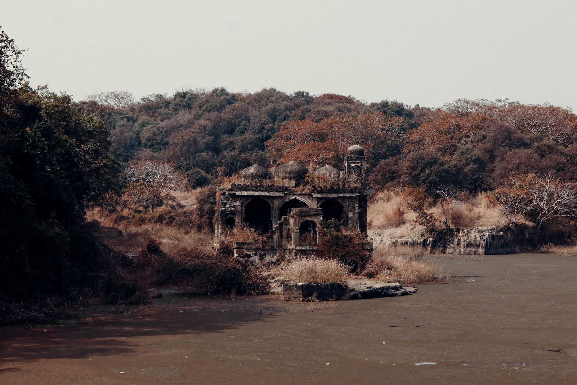 الهند — Delhi → Ranthambore
