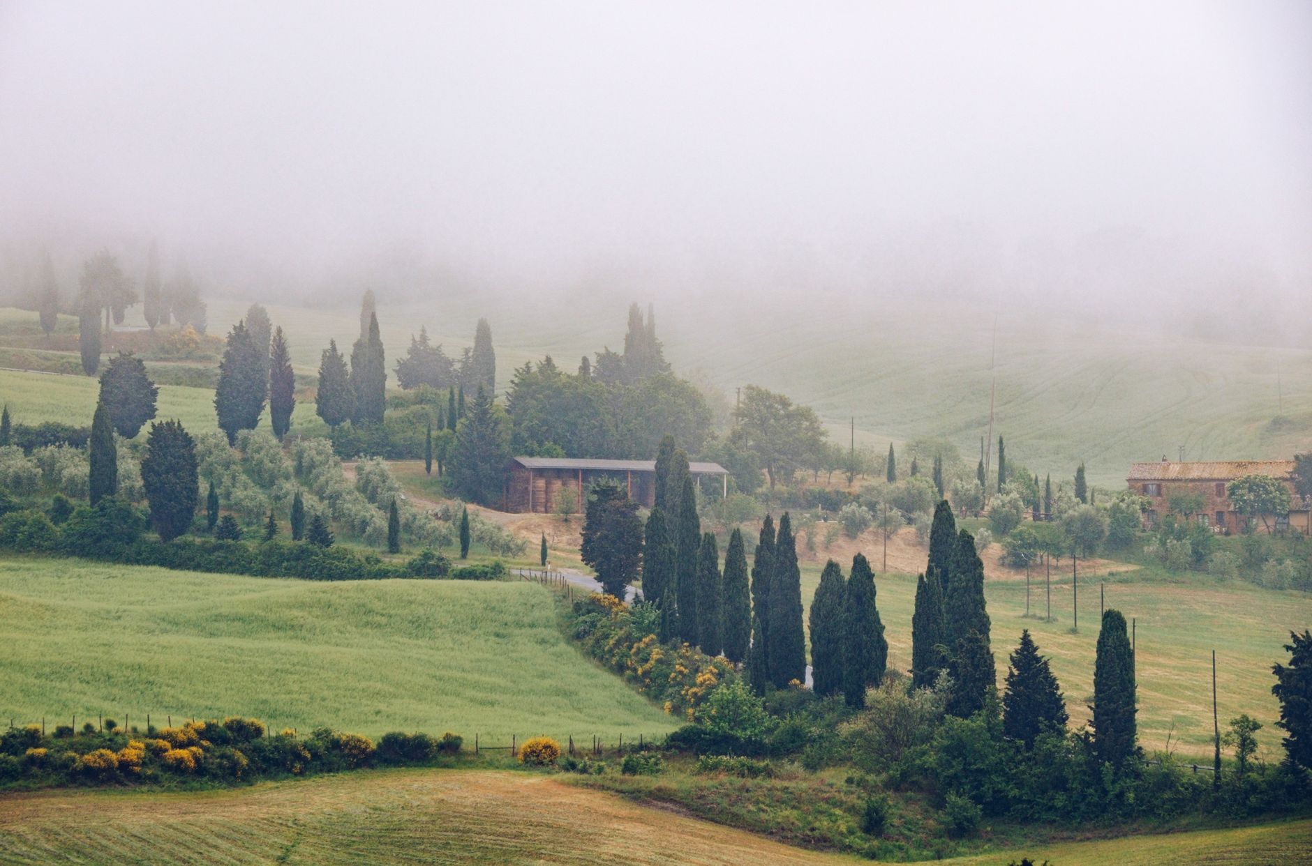 ITALIEN — MONTALCINO & BRUNELLO — oplevelse
