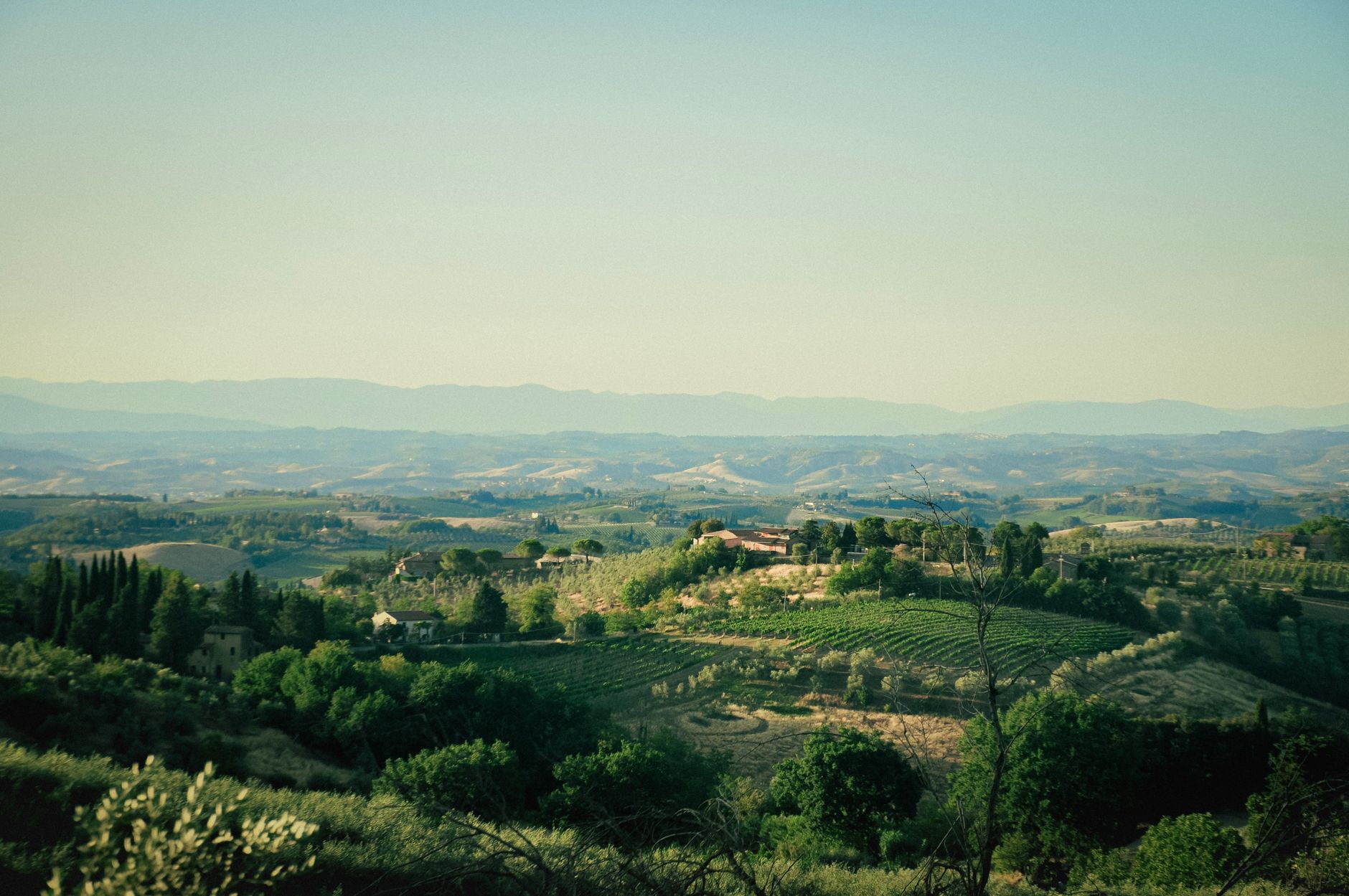 ITALIEN — SMAGENE AF TOSCANA — oplevelse