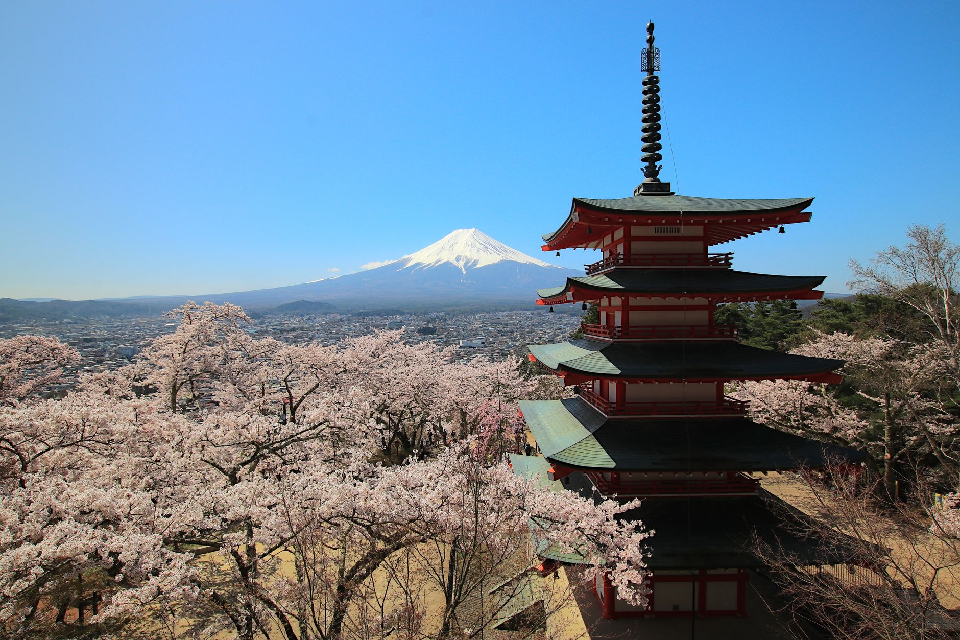 JAPONYA - JAPONYA KALELERI - BondTours deneyimi
