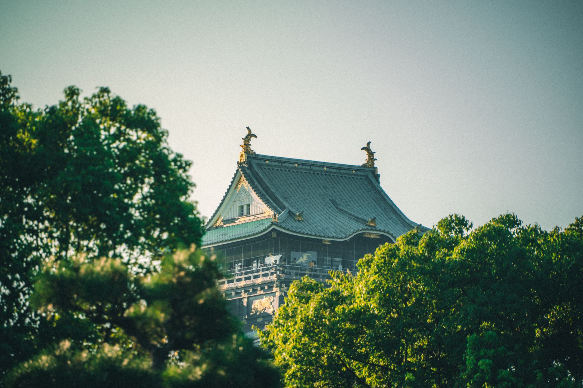 اليابان — Tóquio → Nara