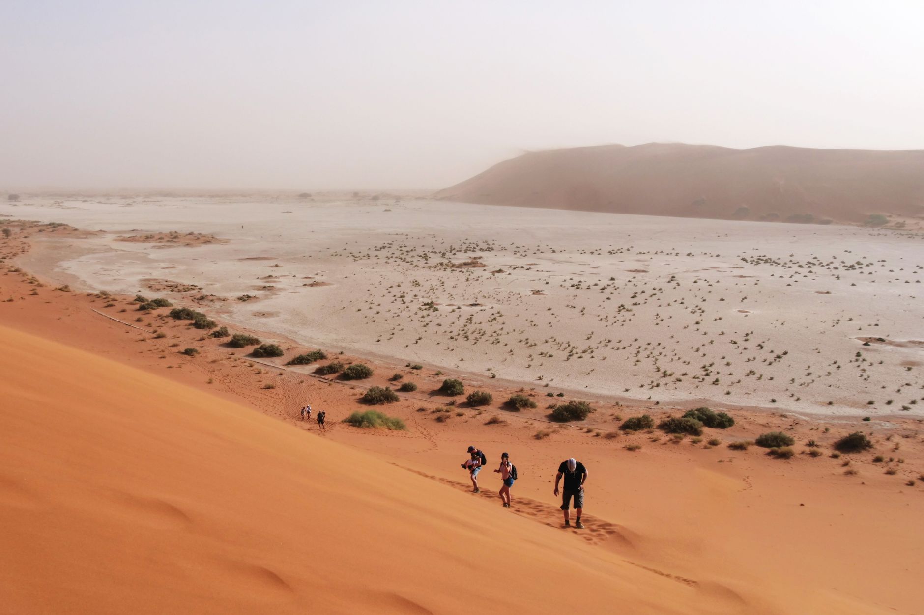 ناميبيا — الخبرة — الخبرة