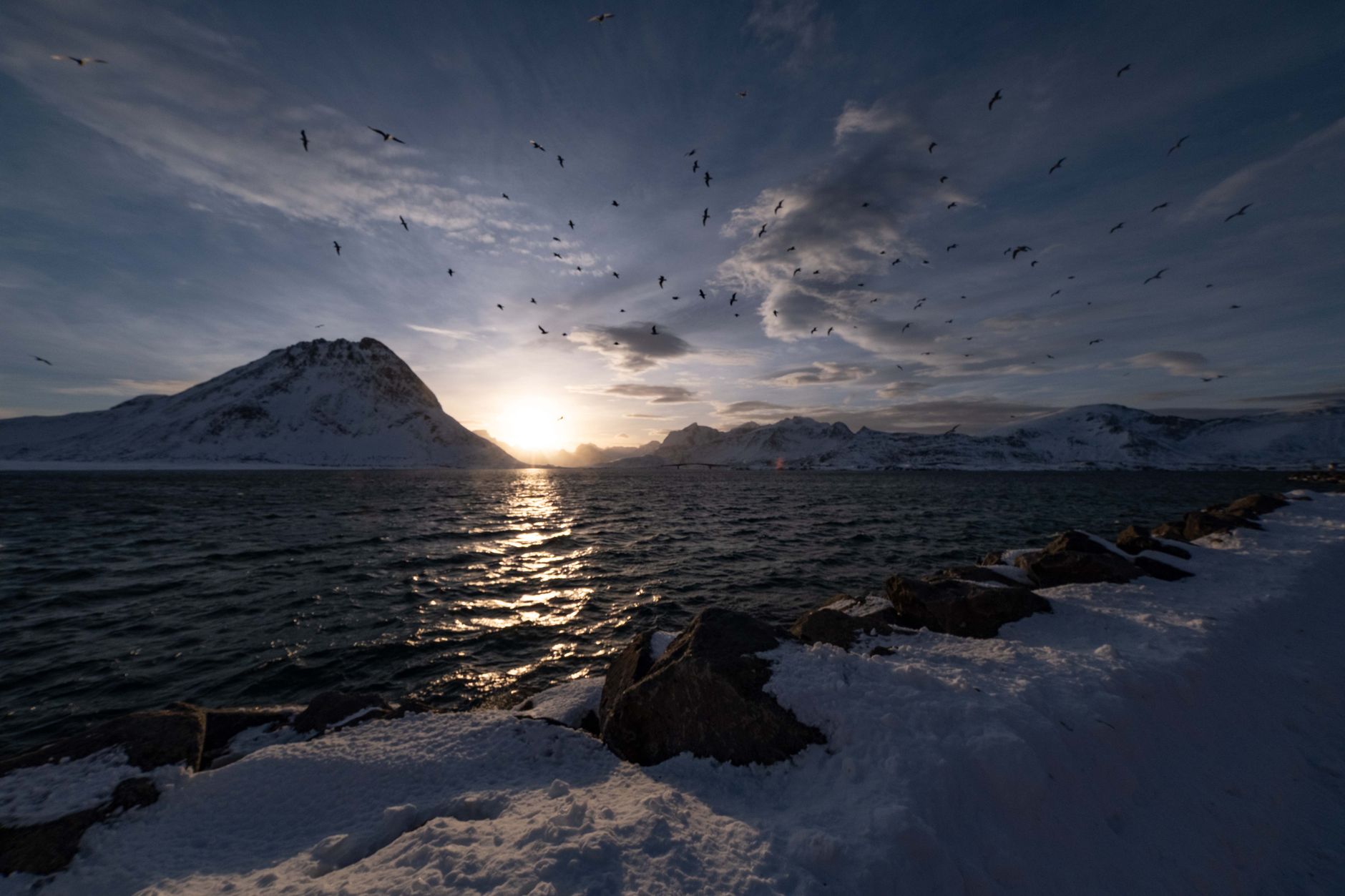 NORGE — ARKTISK NORGE — erfaring