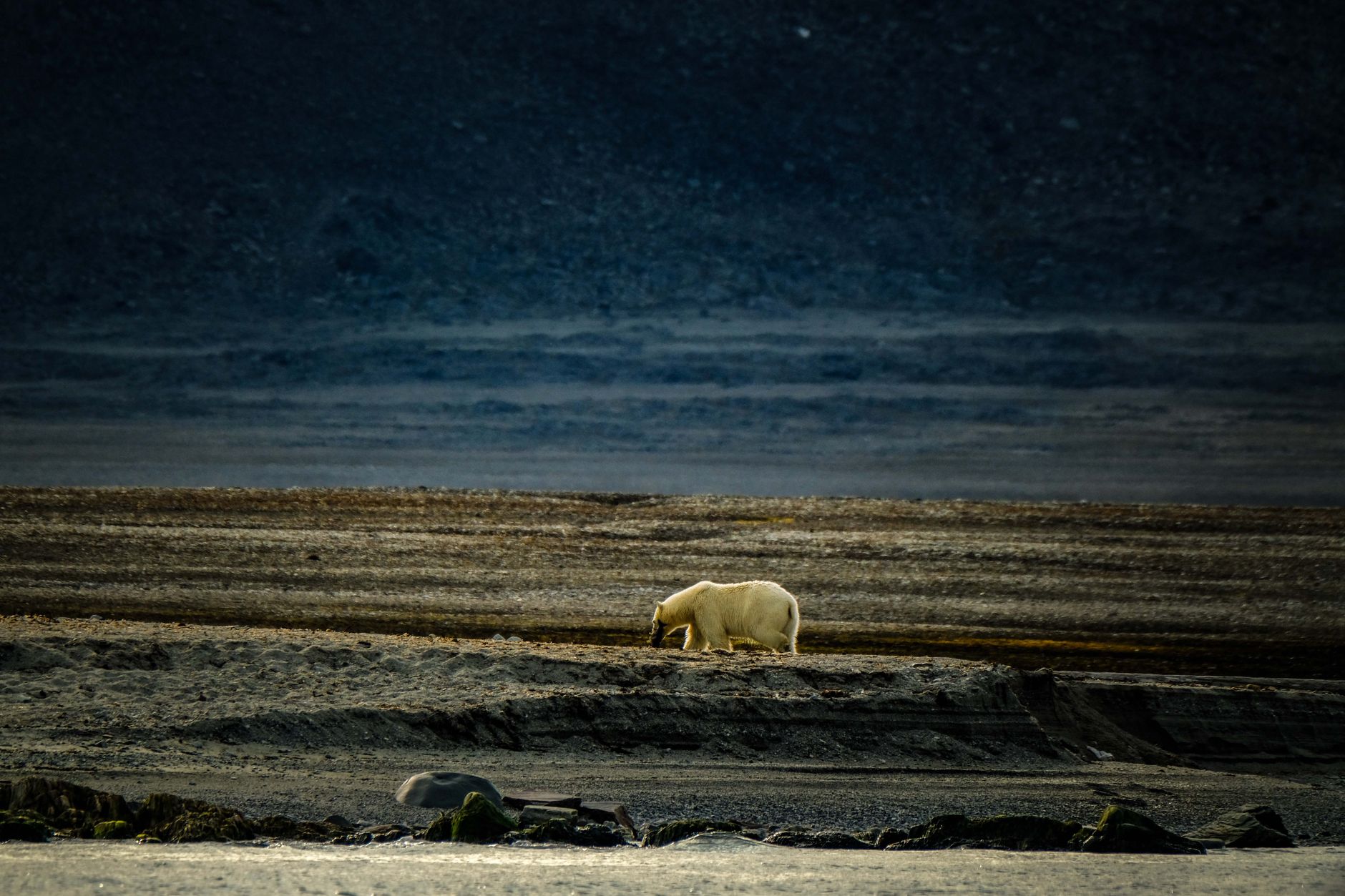 النرويج — Oslo → Longyearbyen