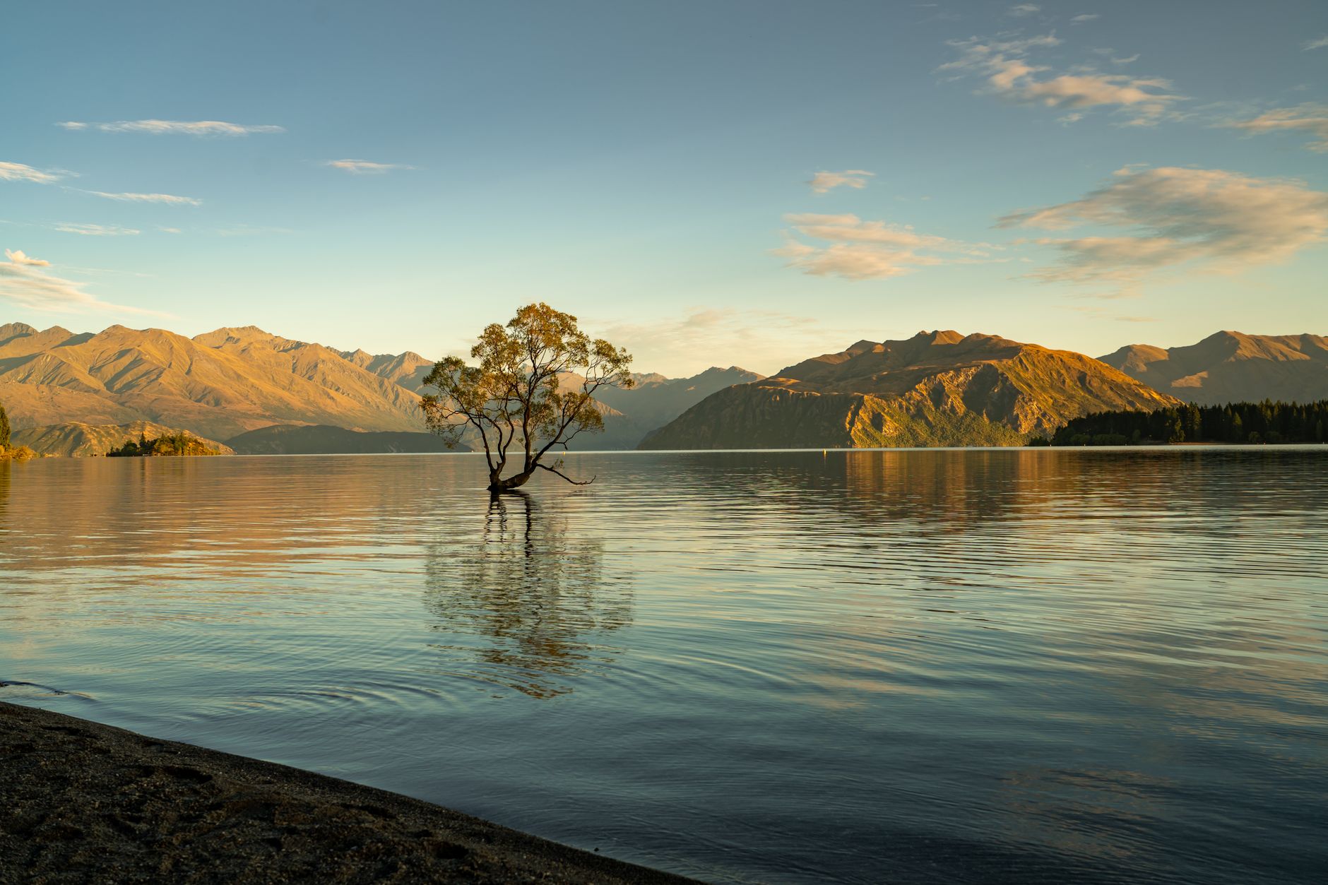 نيوزيلندا — Queenstown → Kaikoura