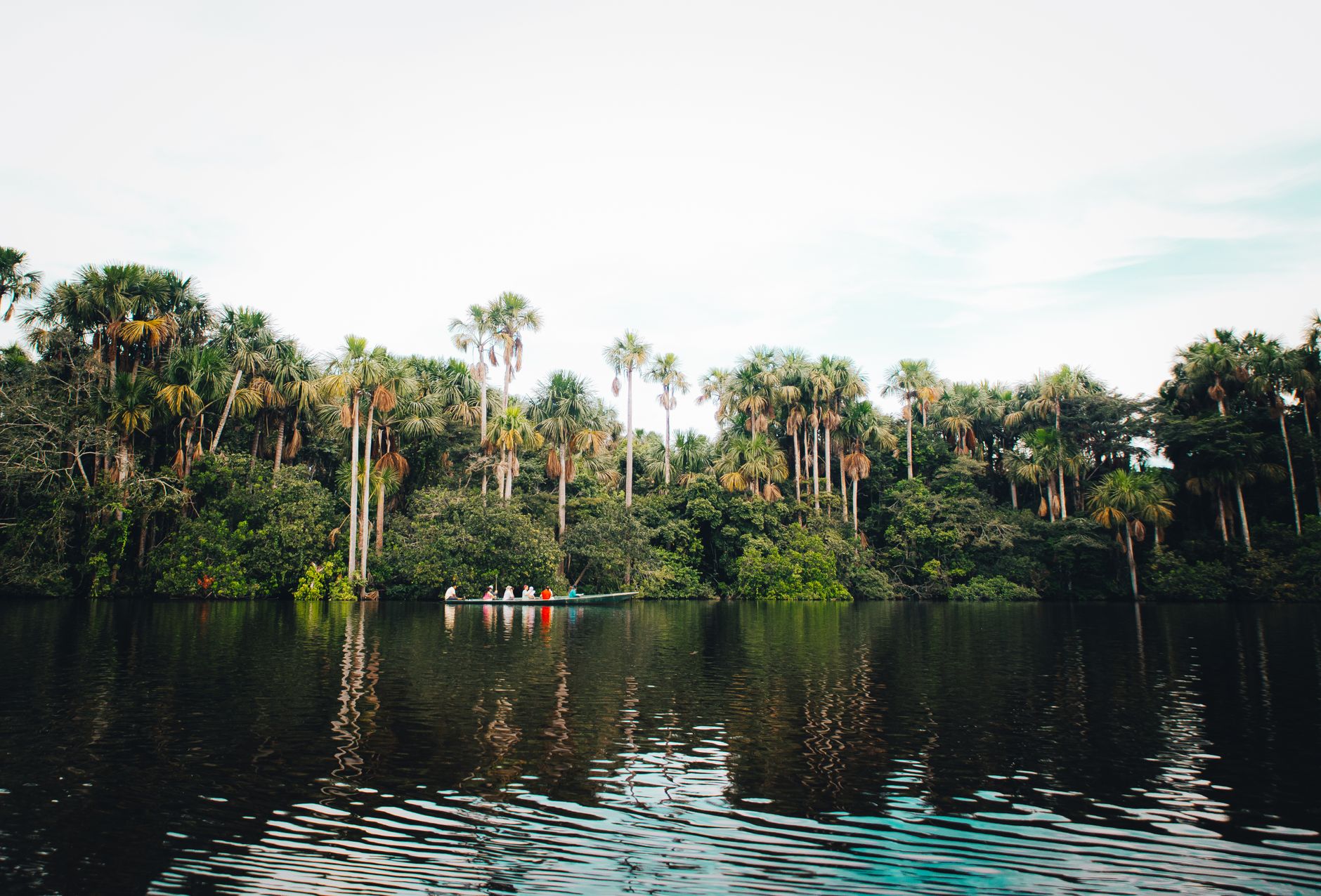 بيرو — Lima → lodge em Tambopata