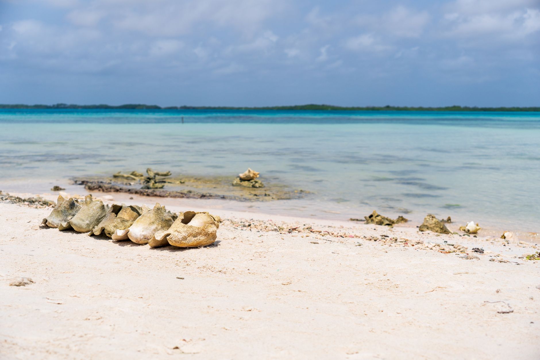 بولينيزيا الفرنسية — Tahiti → Fakarava
