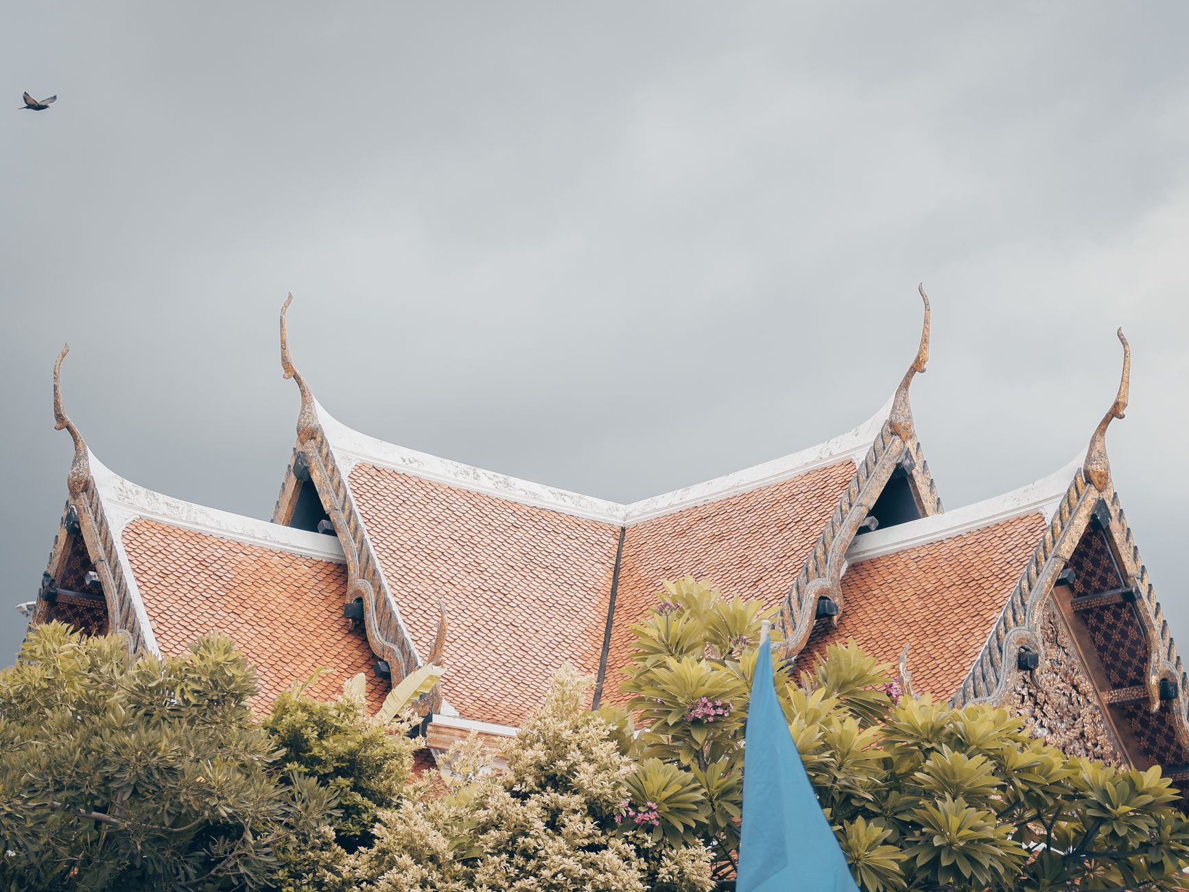 تايلاند — المعابد والشواطئ — التجربة
