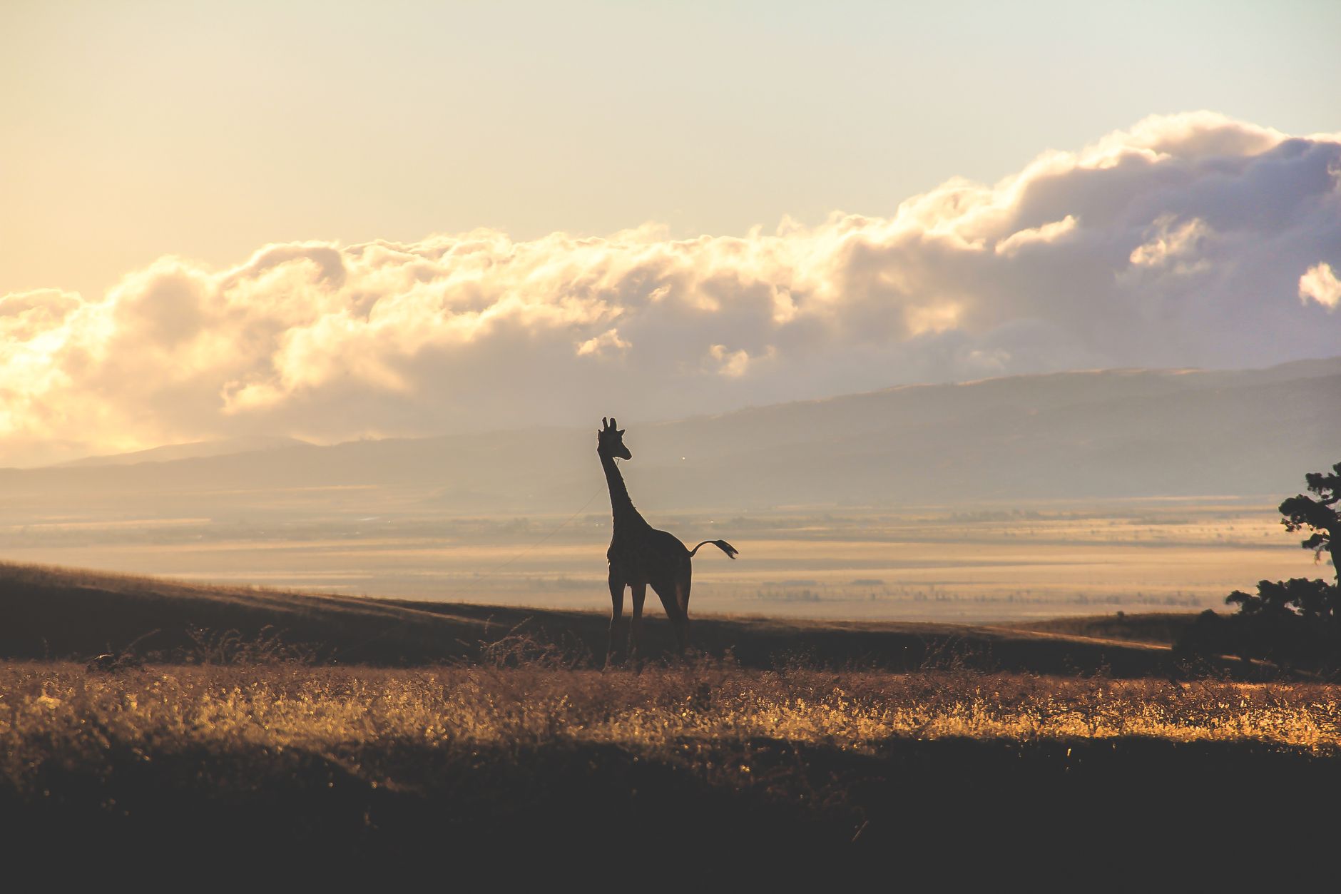 TANZANIA & KENYA — erfaring